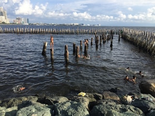 Several children are swimming and playing among wooden posts in a large body of water, with rocky shorelines in the foreground. High-rise buildings and a cloudy sky are visible in the distance.