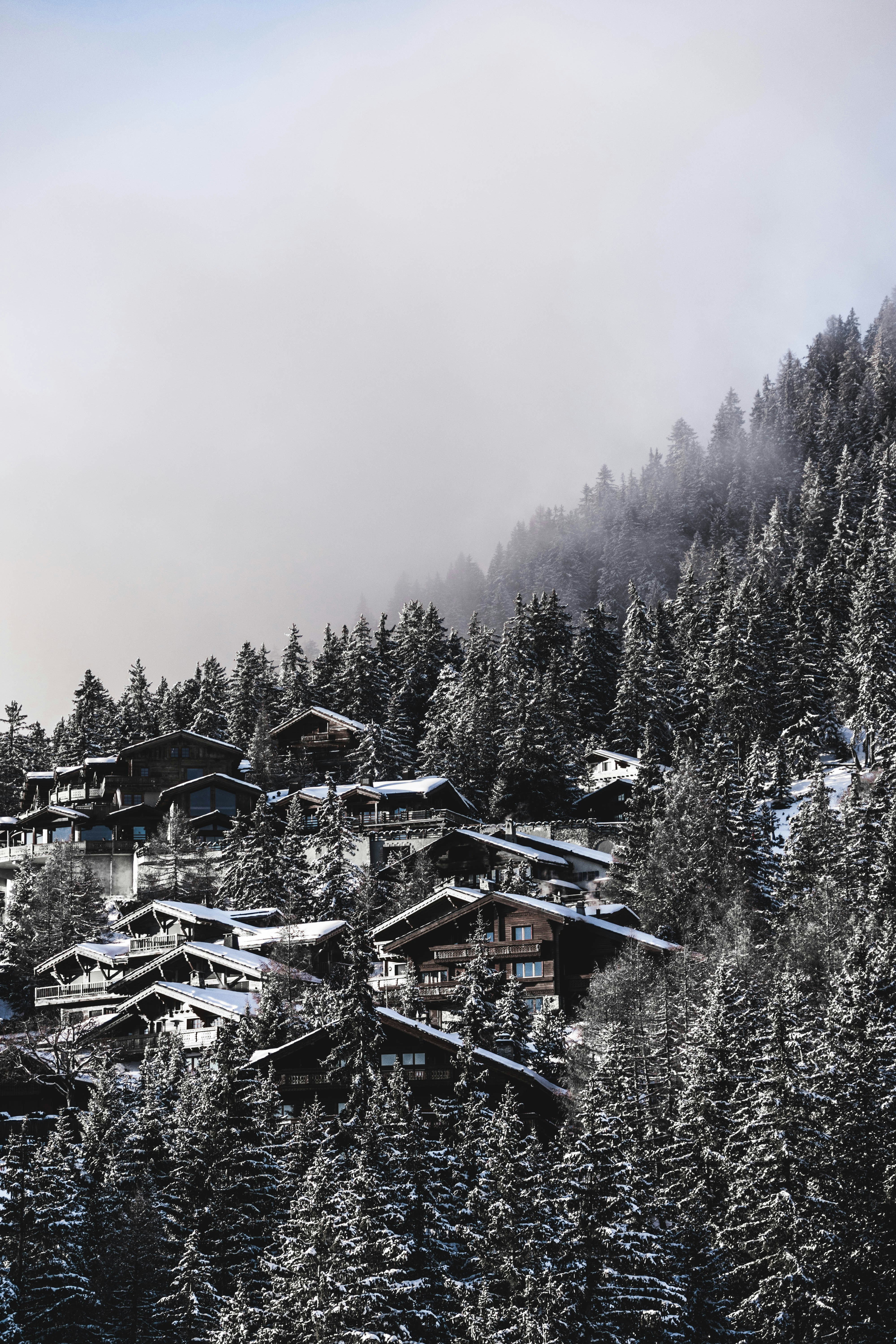 Photo by virussinside