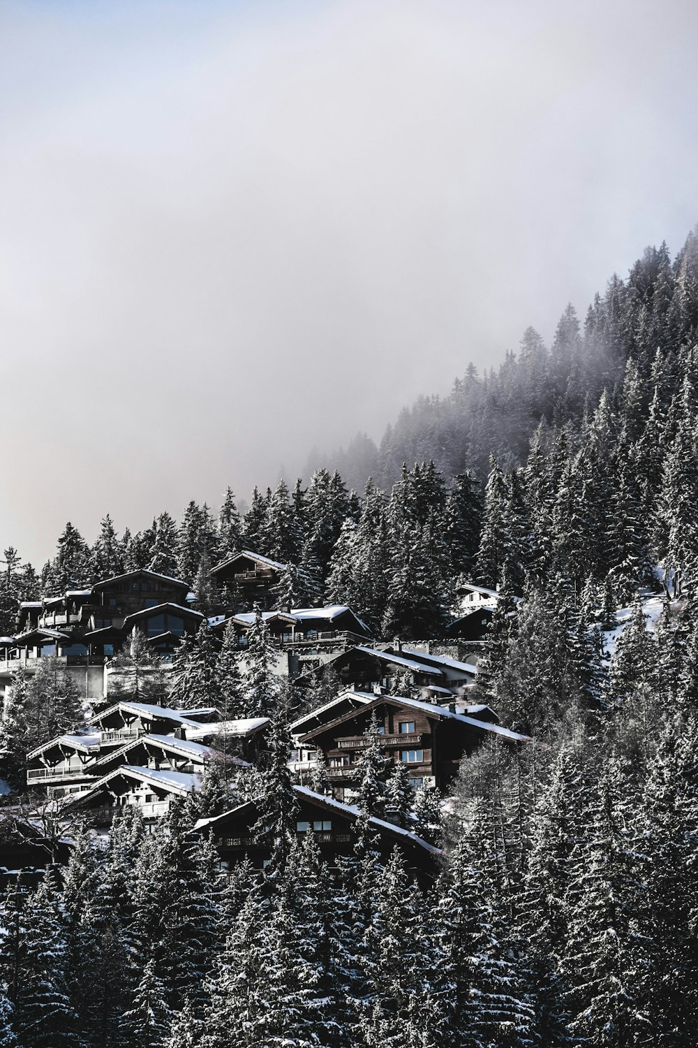 grayscale and aerial view photography of village surrounded by trees