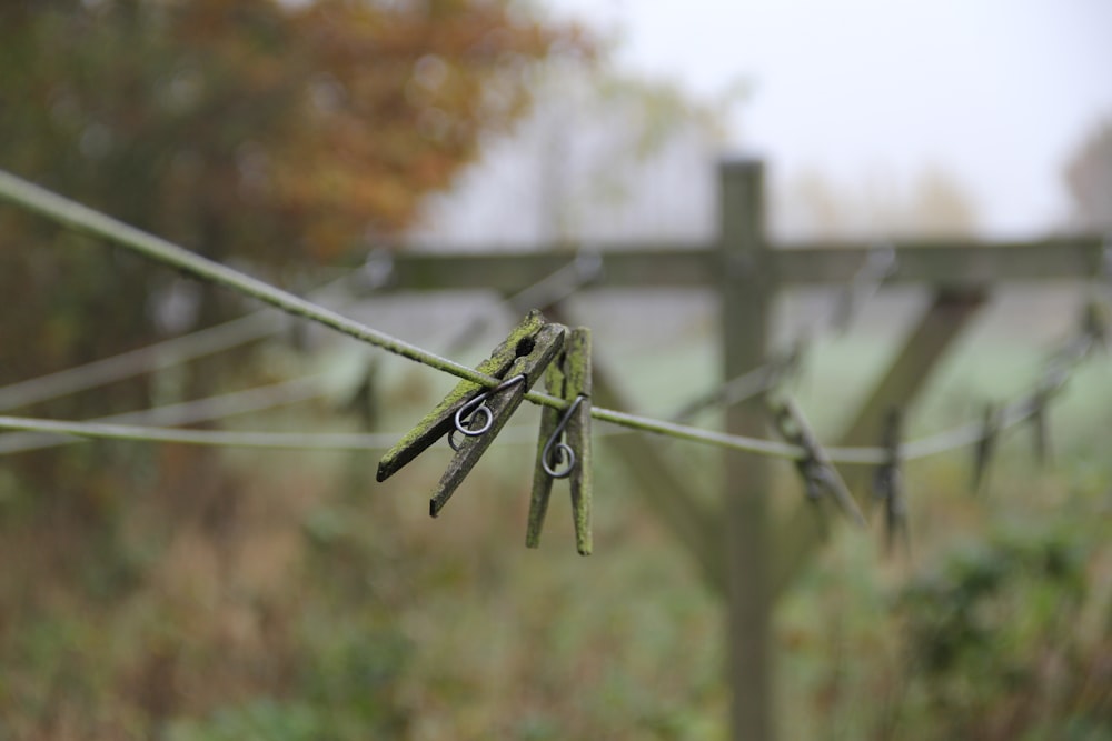 selective focus photography of two clothes pegs on wire