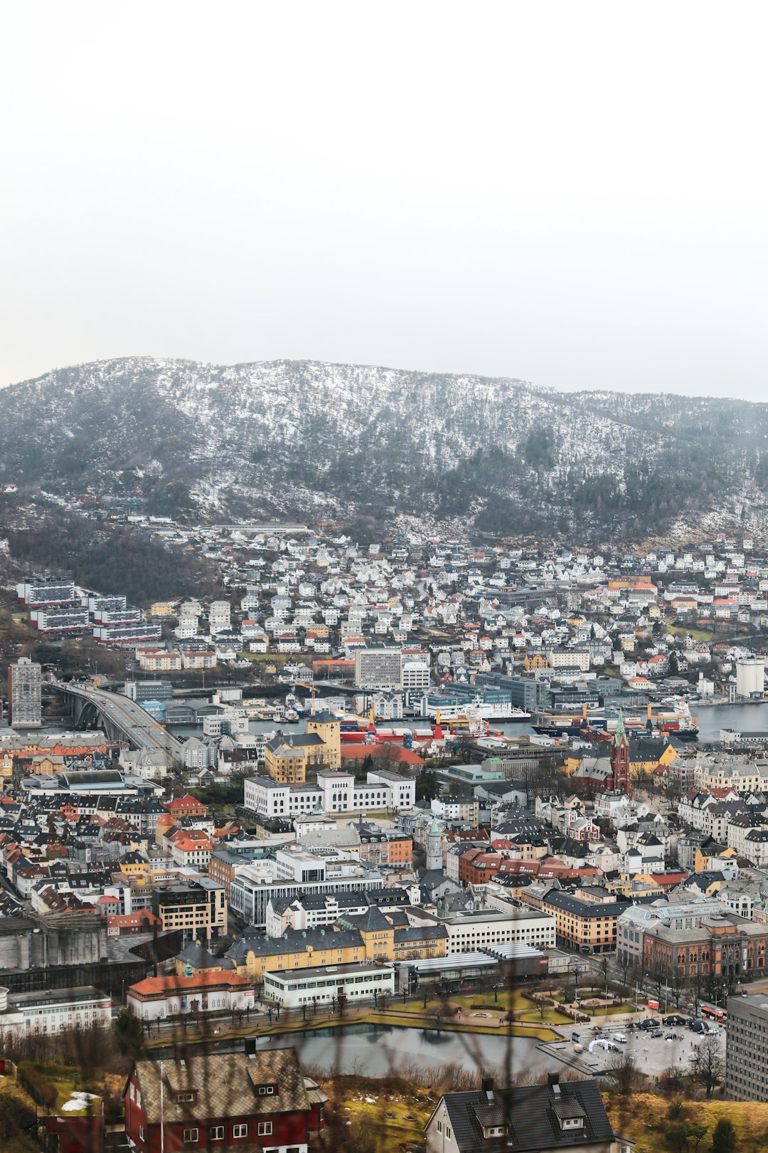Town photo spot Nordre Skansemyren 4 A Fishmarket in Bergen