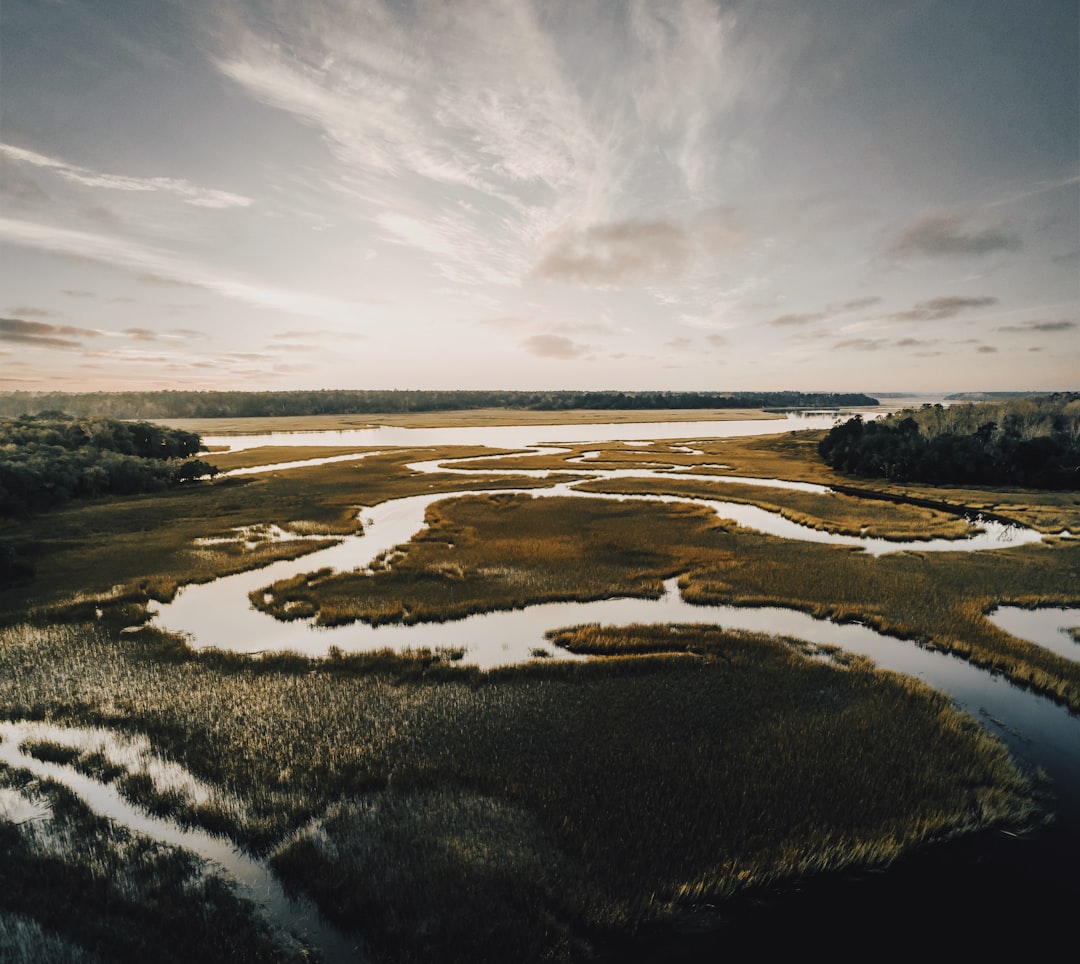Marsh Pictures Download Free Images on Unsplash Marsh Pictures Download Free Images on Unsplash