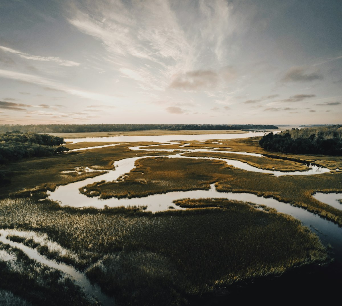 Life Along the Marsh and Tidal Creeks of Northeast Florida
