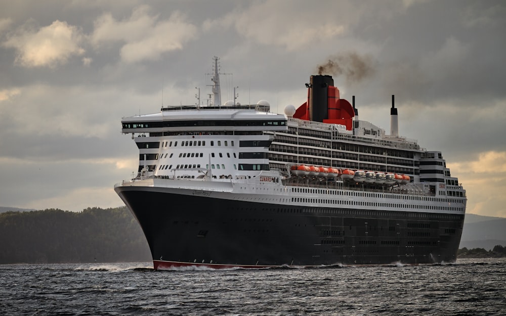 white and black cruise ship