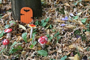 Whimsy Woods Adventure