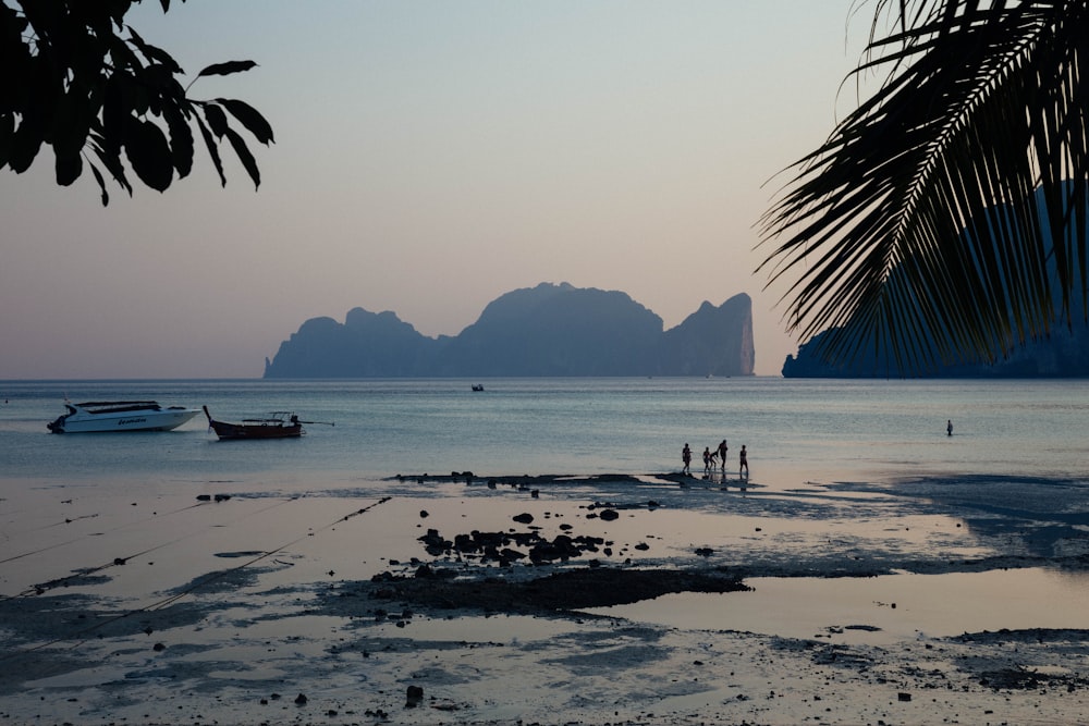 people on seashore near boats