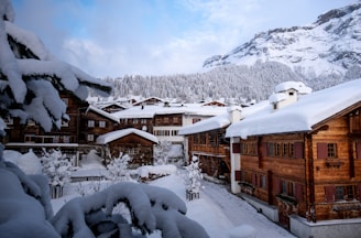 brown wooden houses