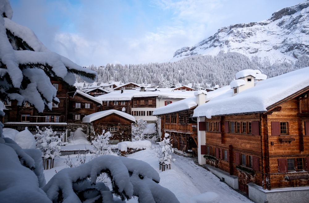 Maisons en bois marron