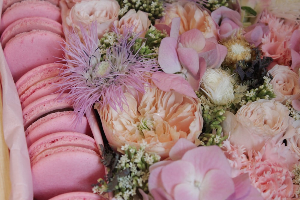 macaroon and pink-petaled flowers