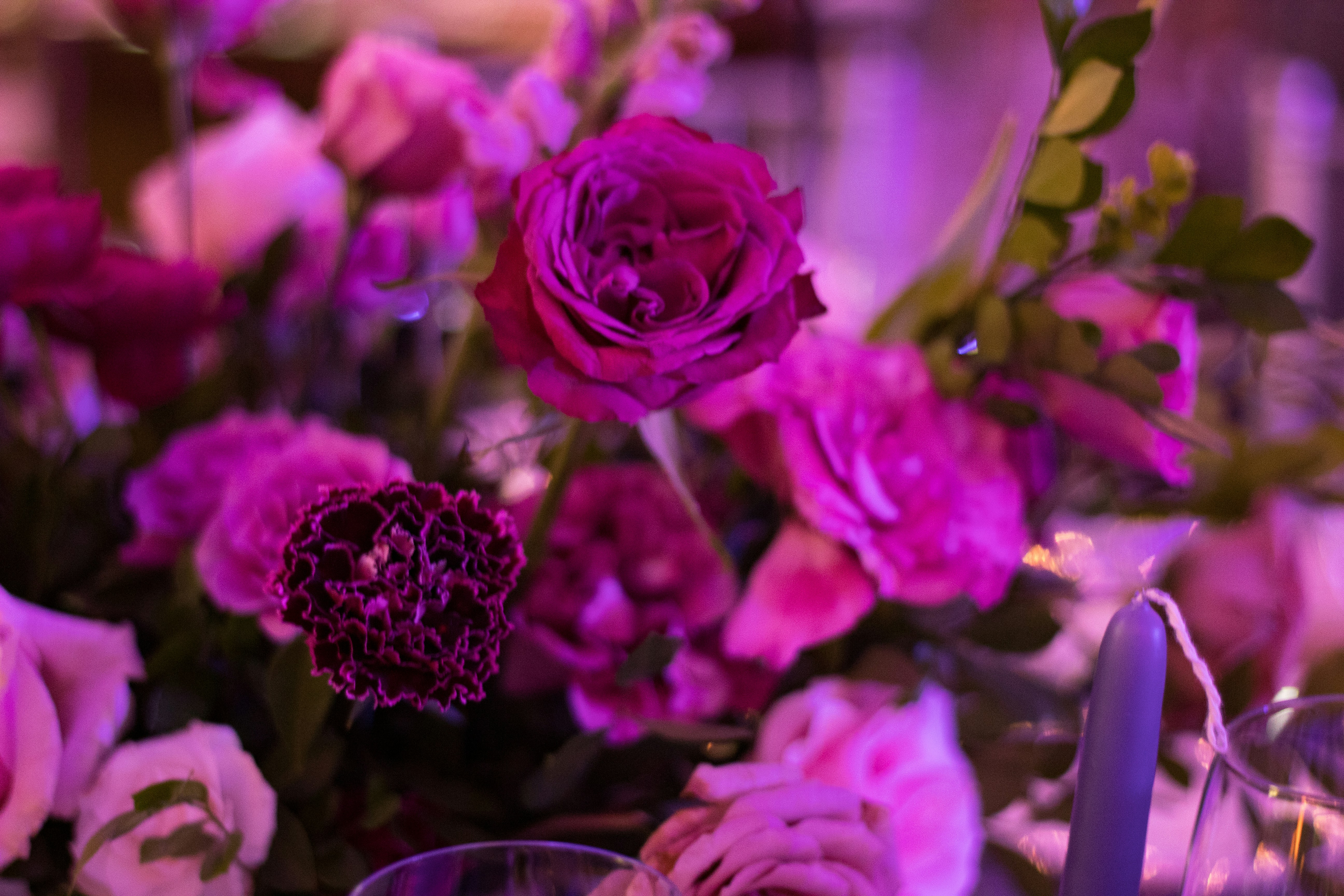 Floral Watercolor Clipart