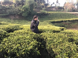 A person stands in the middle of lush green tea bushes on a plantation. The landscape is hilly with dense foliage in the background and a variety of trees scattered across the scene. The individual is wearing a dark jacket and appears to be enjoying a hot beverage while taking in the natural surroundings.