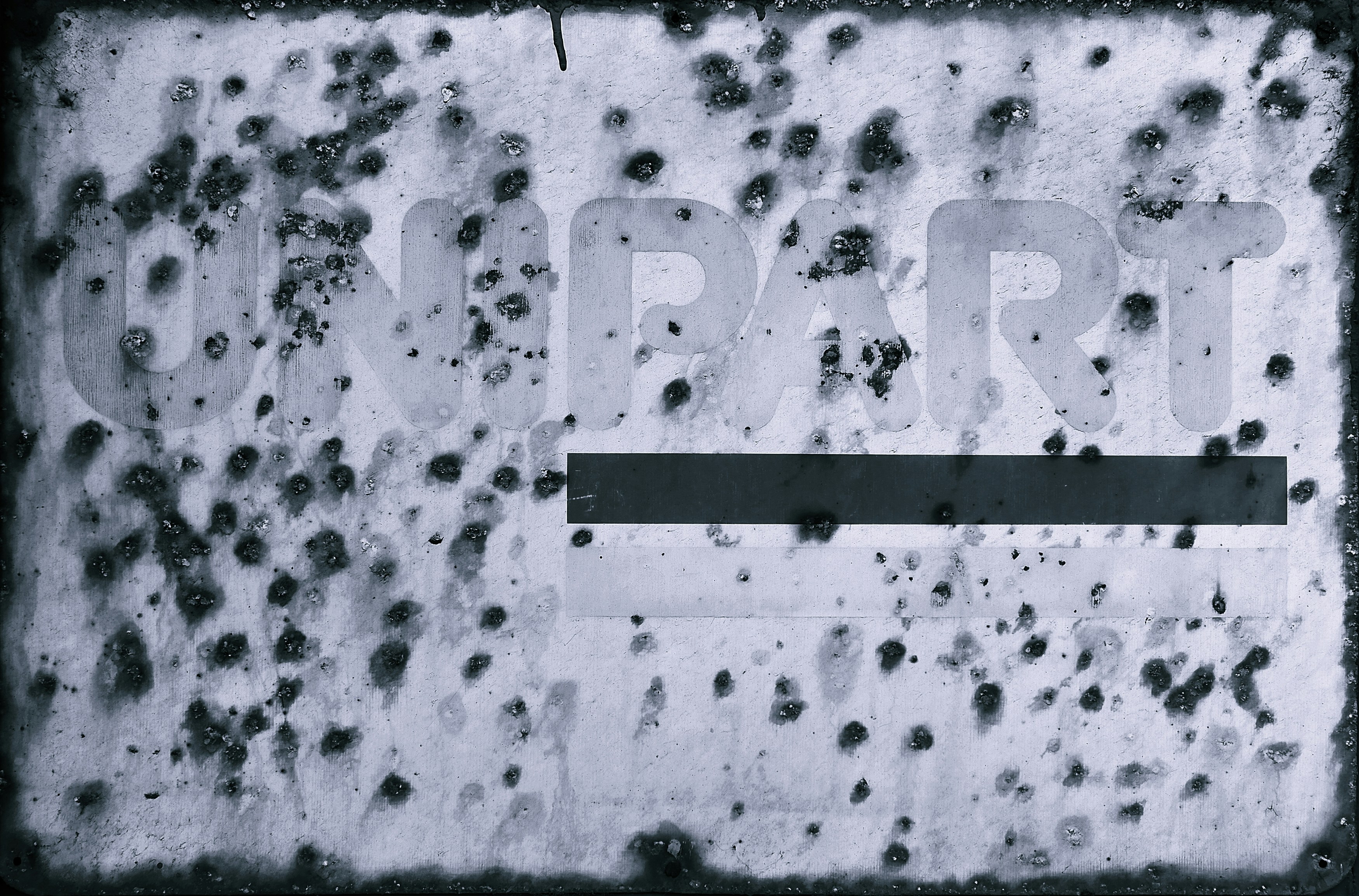 Mold Removal