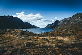 A stunning landscape of a serene lake or fjord surrounded by majestic, rugged mountains. The foreground features a mixture of sparse vegetation and golden-brown grasses. The sky is clear with scattered clouds, contributing to a tranquil atmosphere.