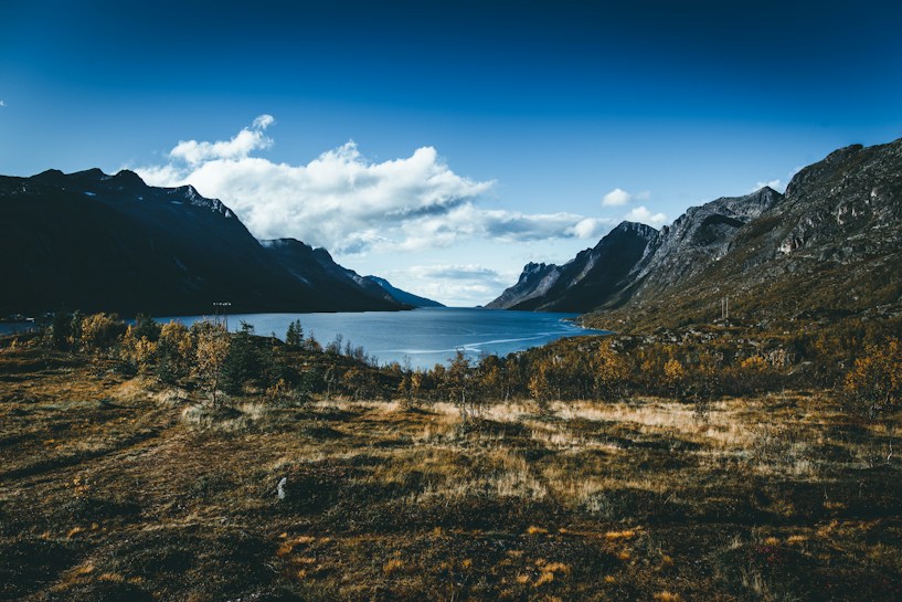 A stunning landscape of a serene lake or fjord surrounded by majestic, rugged mountains. The foreground features a mixture of sparse vegetation and golden-brown grasses. The sky is clear with scattered clouds, contributing to a tranquil atmosphere.