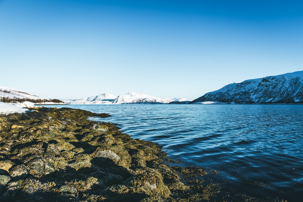 calm body of water during daytime