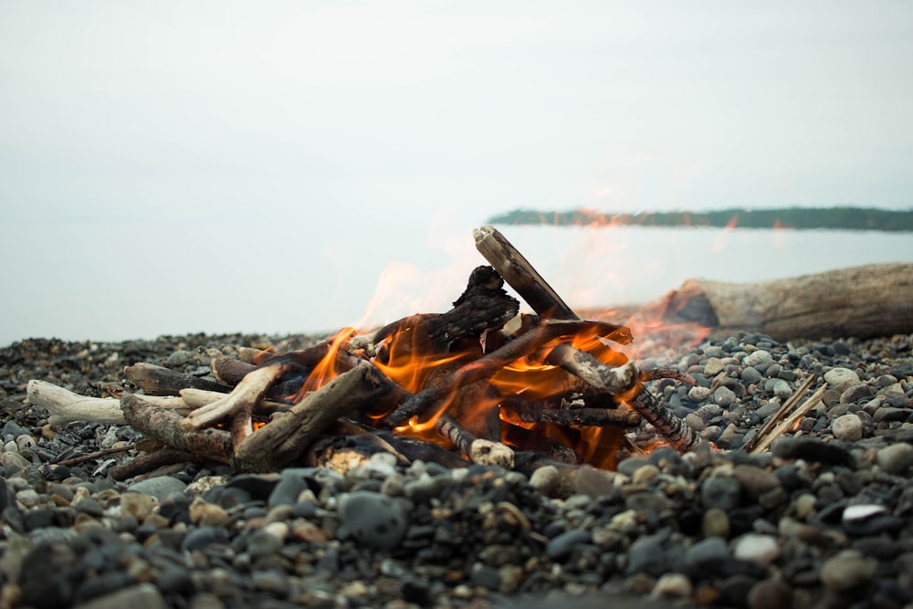 bonfire on shore line