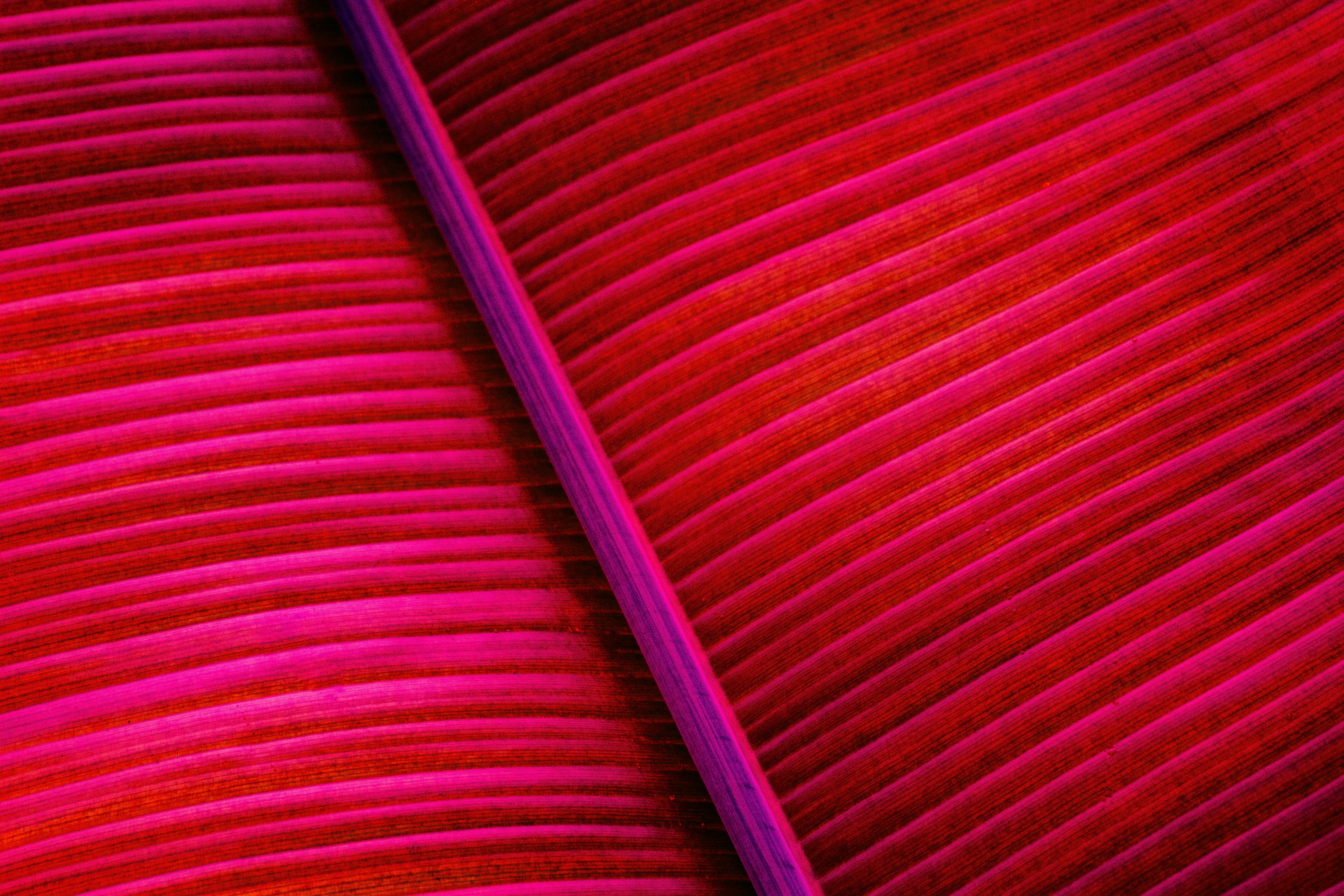 Photo by mrsamuelelias