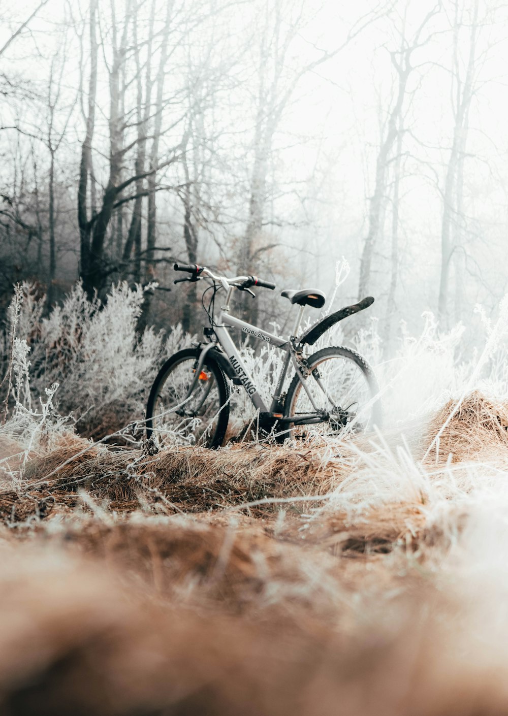 gray bicycle on brown grass during daytime