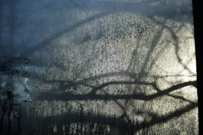Condensation on a window reveals intricate patterns with blurry silhouettes of branches casting shadows. The texture and moisture create an ethereal, diffused effect with light peeking through.