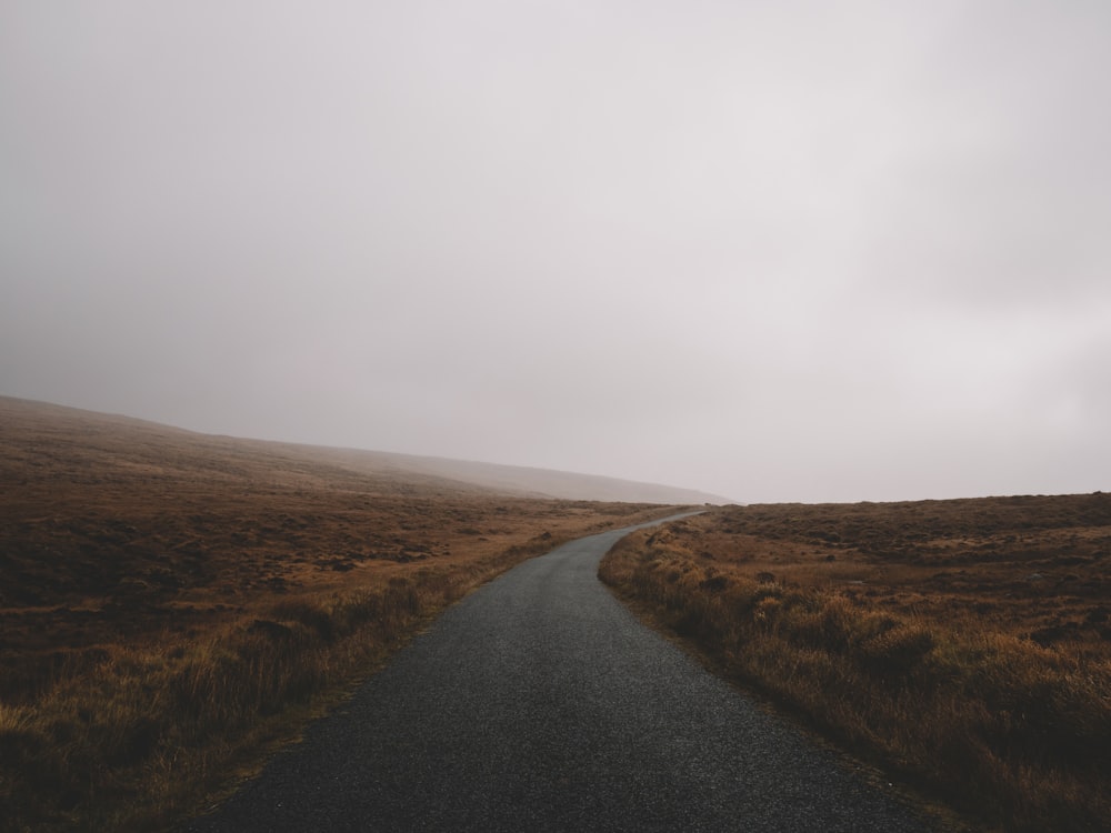 霧の時の道路