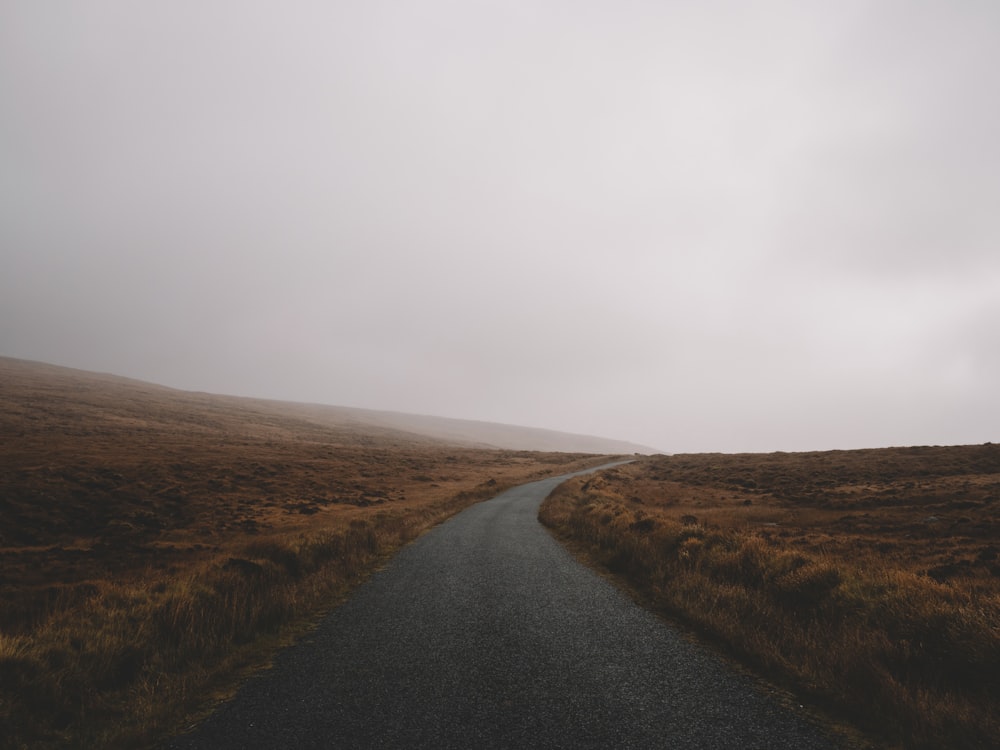 road during foggy weather