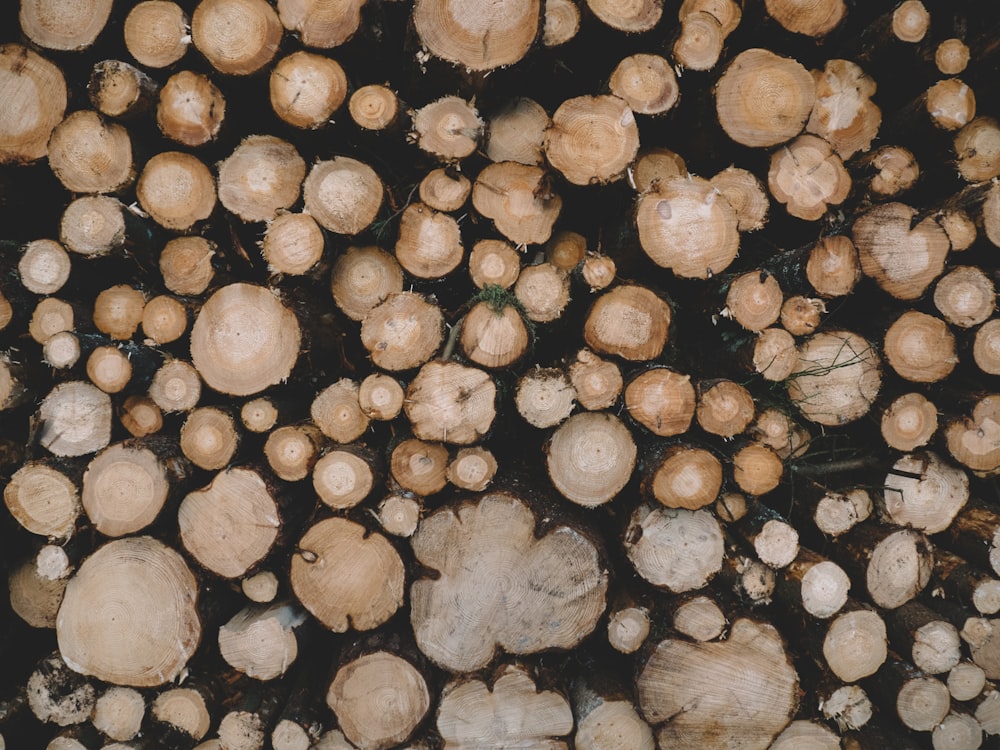 brown wood logs