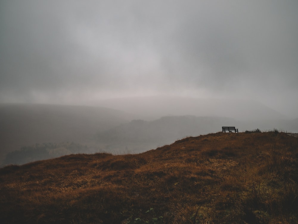 brown grass field under gray sky