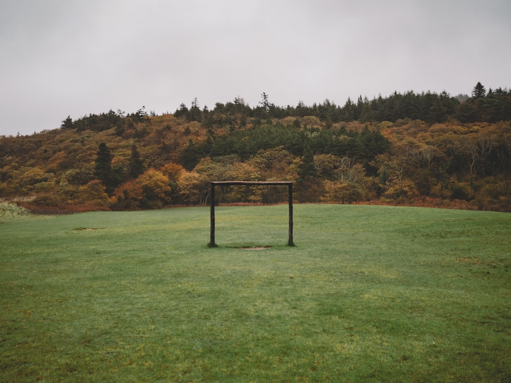 green grass field