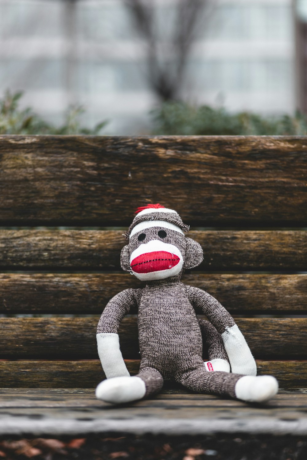 gray and white monkey plush toy sitting on wooden bench