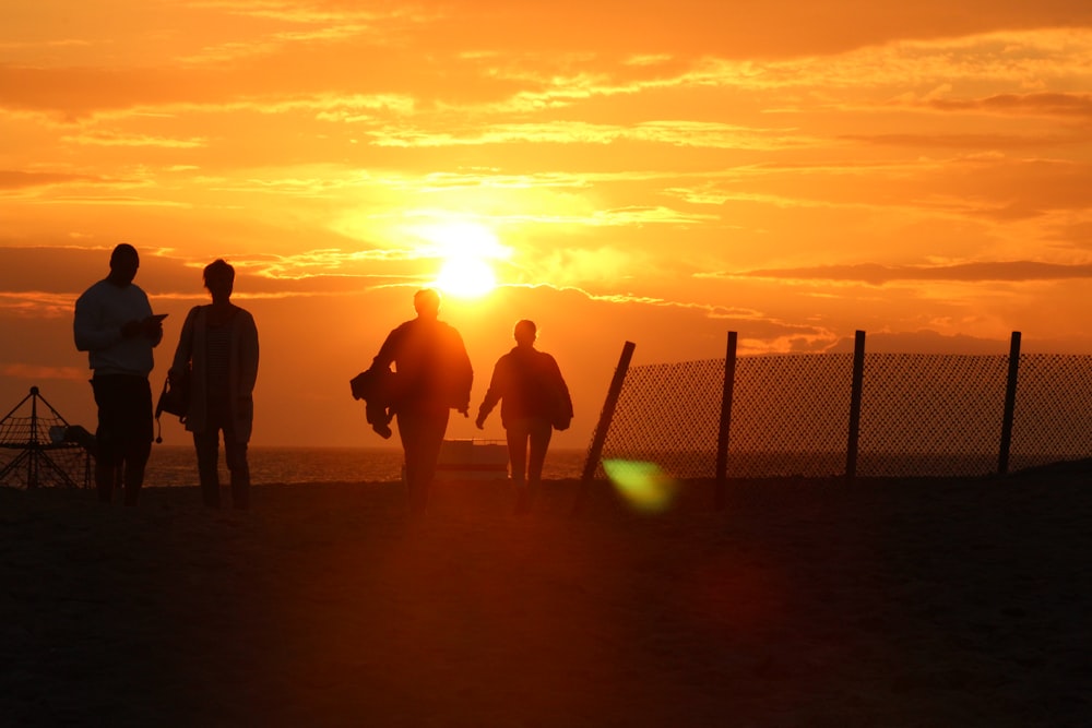 silhouette of people during golden hour