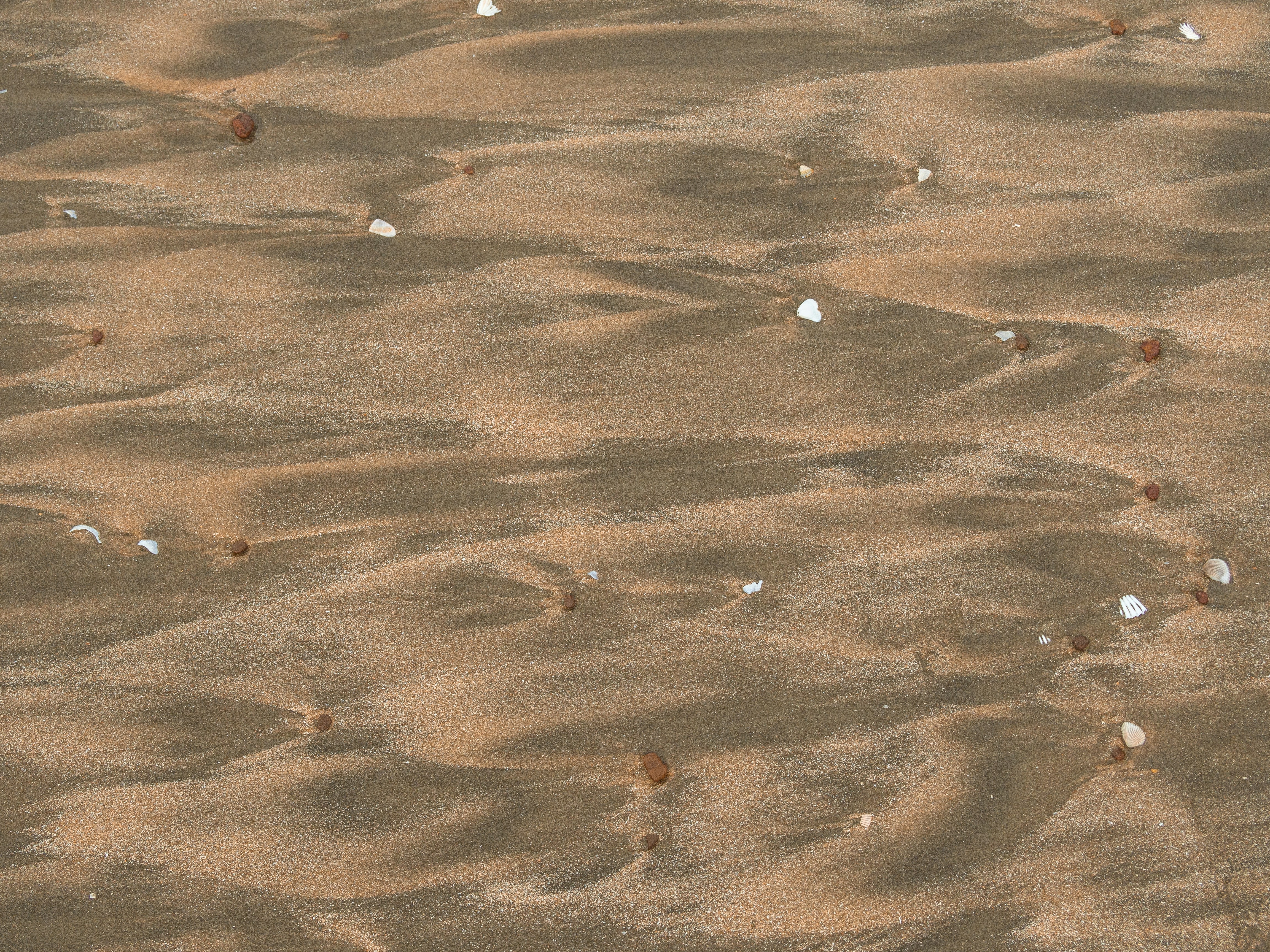 Photo by wimvanteinde