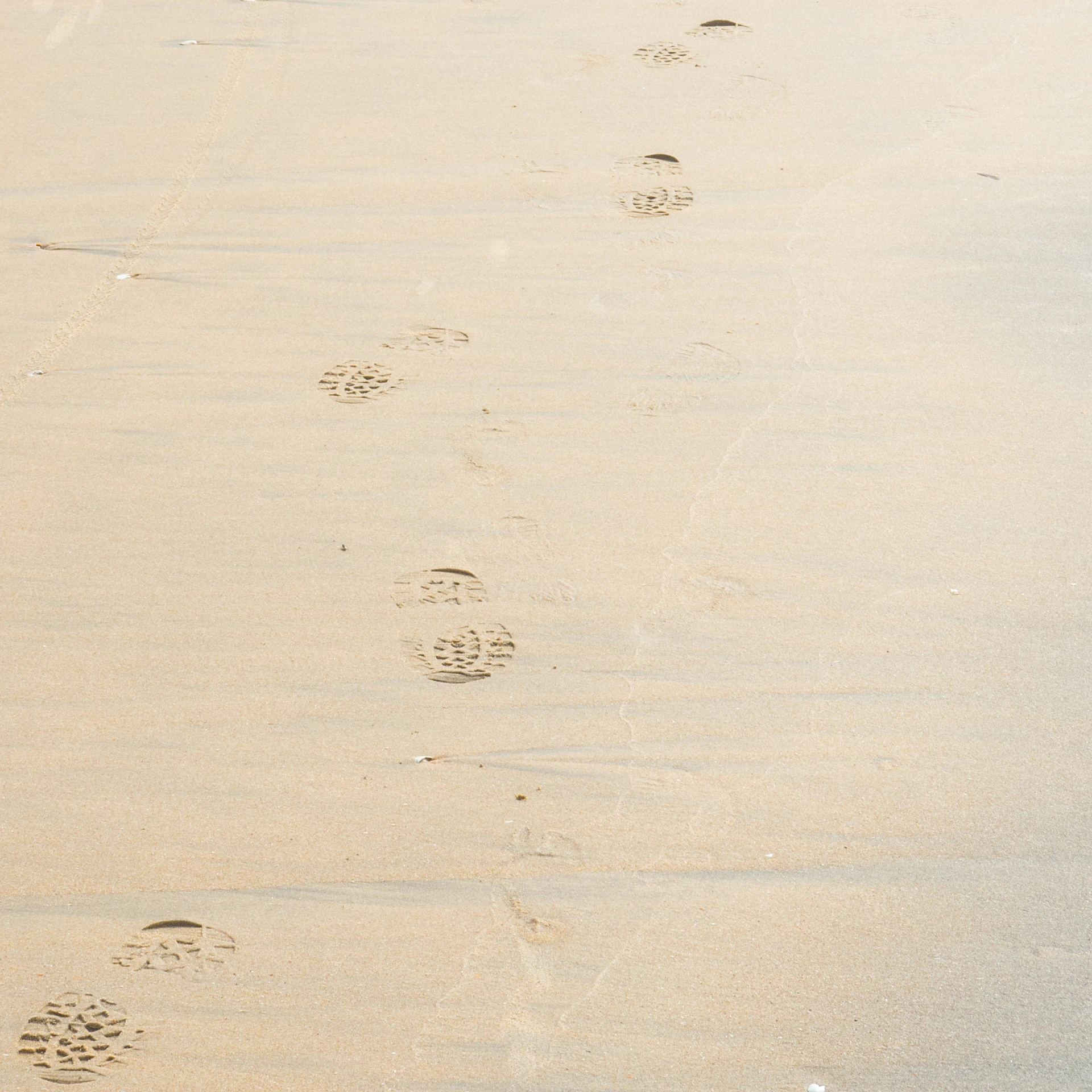 footprints on the sand