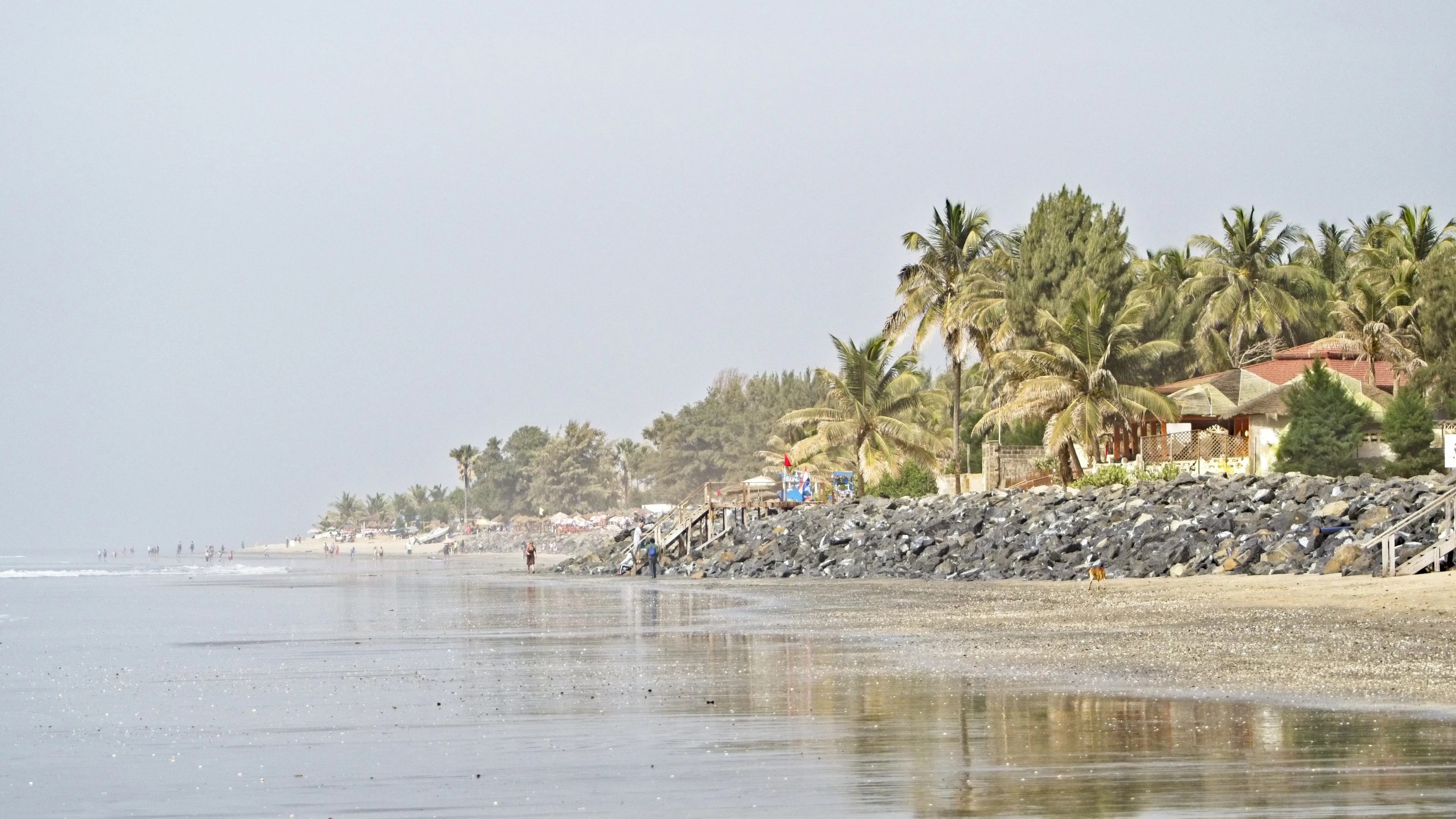 Gambia landscape