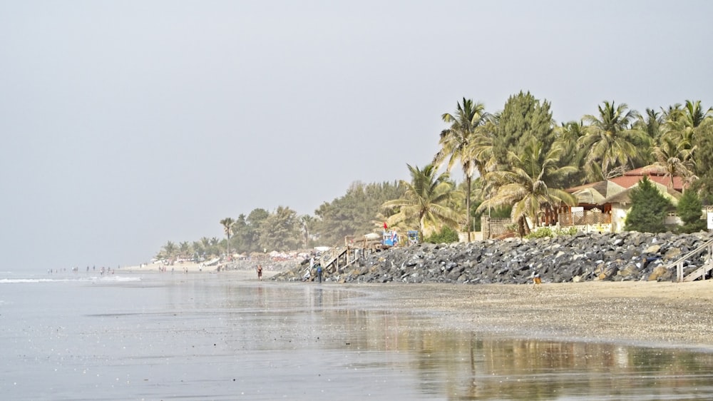 beach near houses