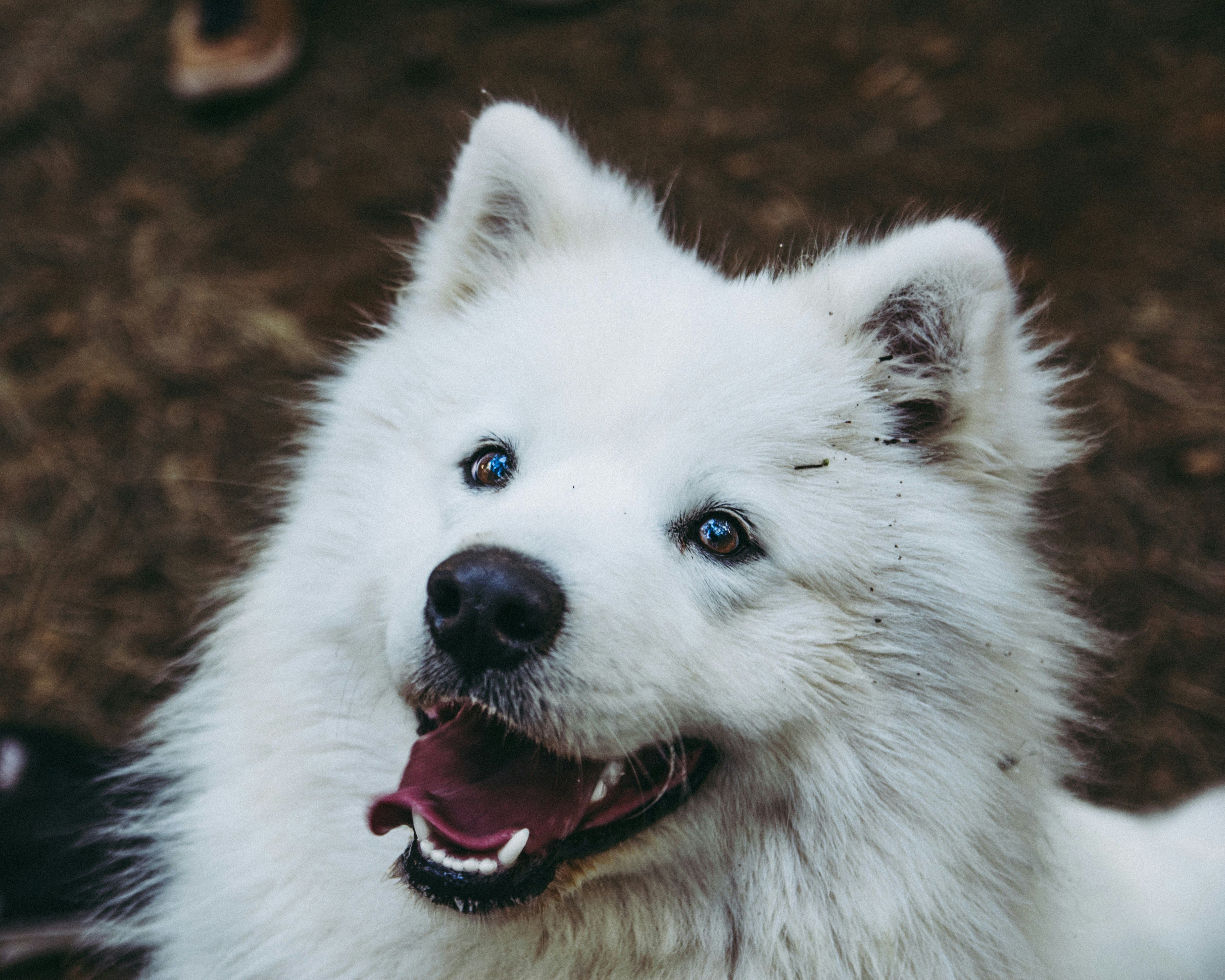 Photo by pablothewarrior