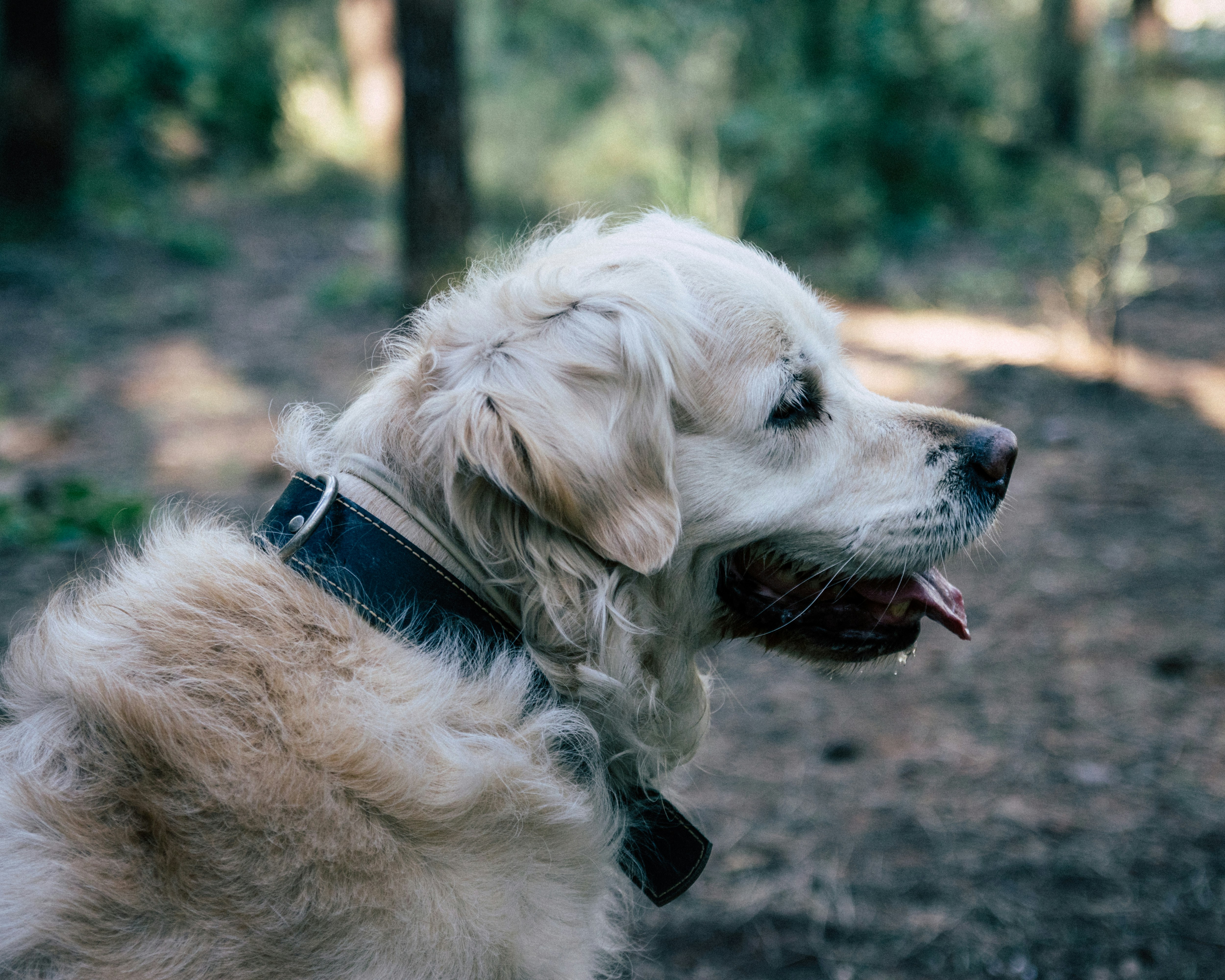 Photo by pablothewarrior