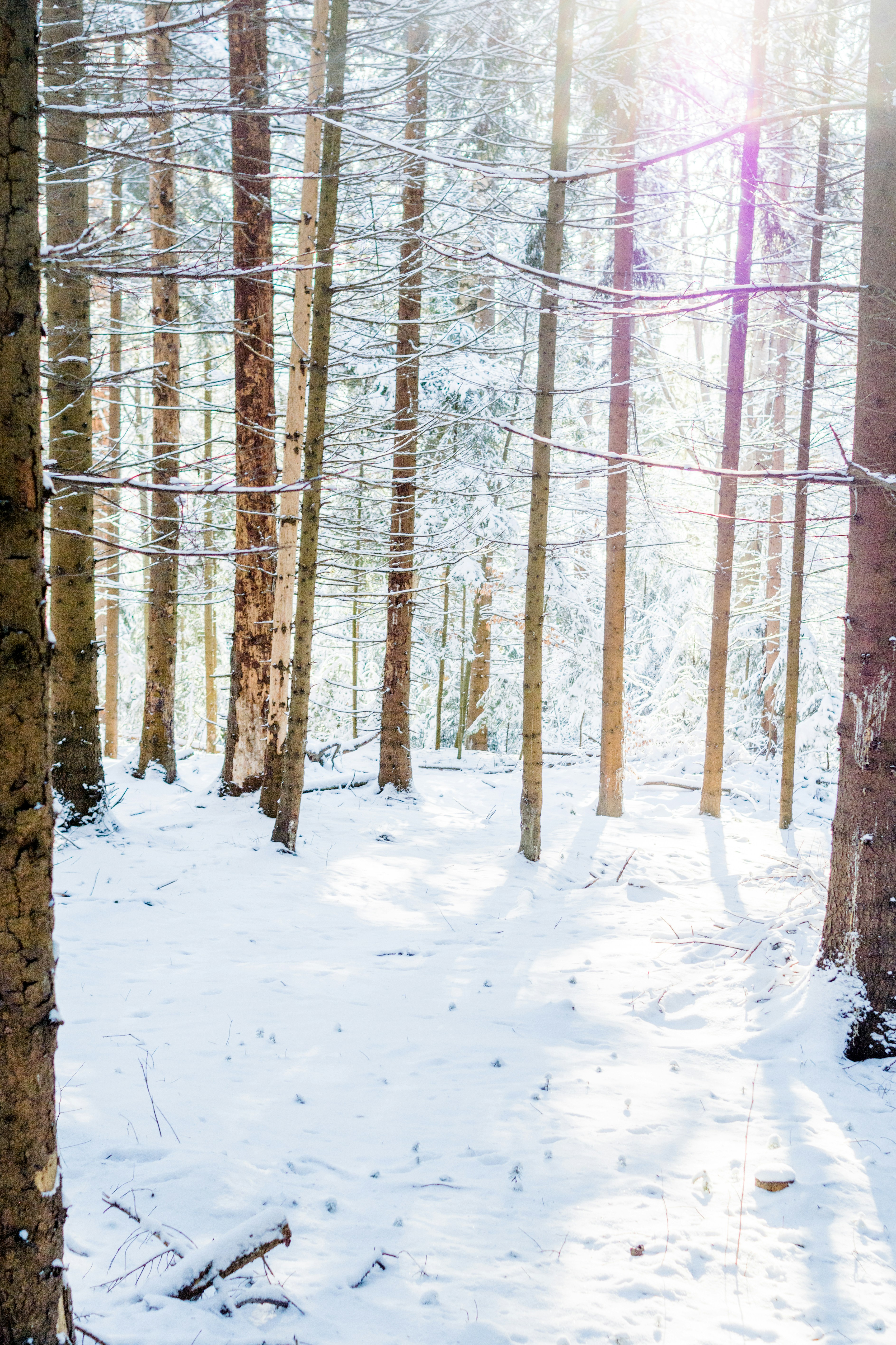 Photo by eugenivy_now