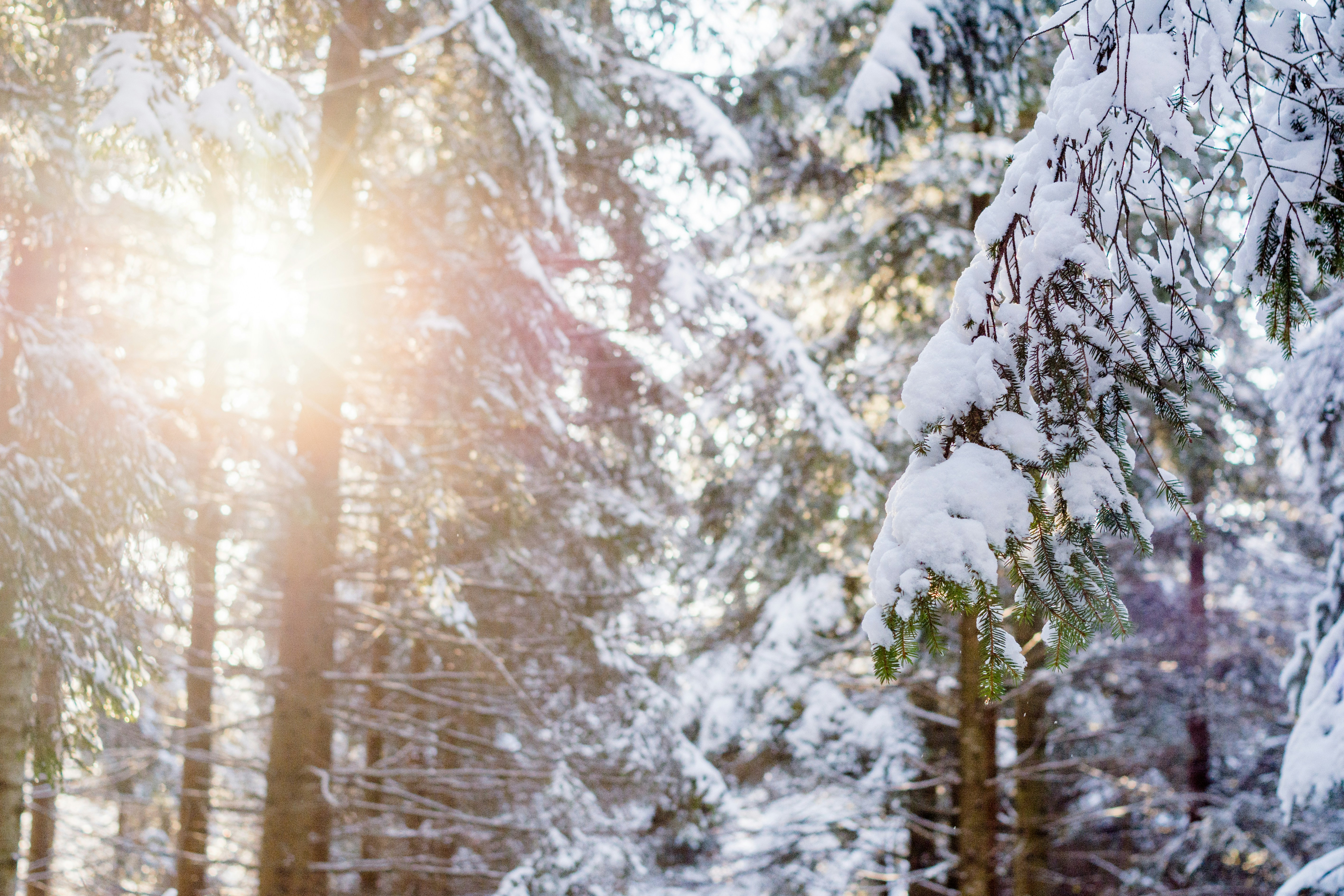 Photo by eugenivy_now