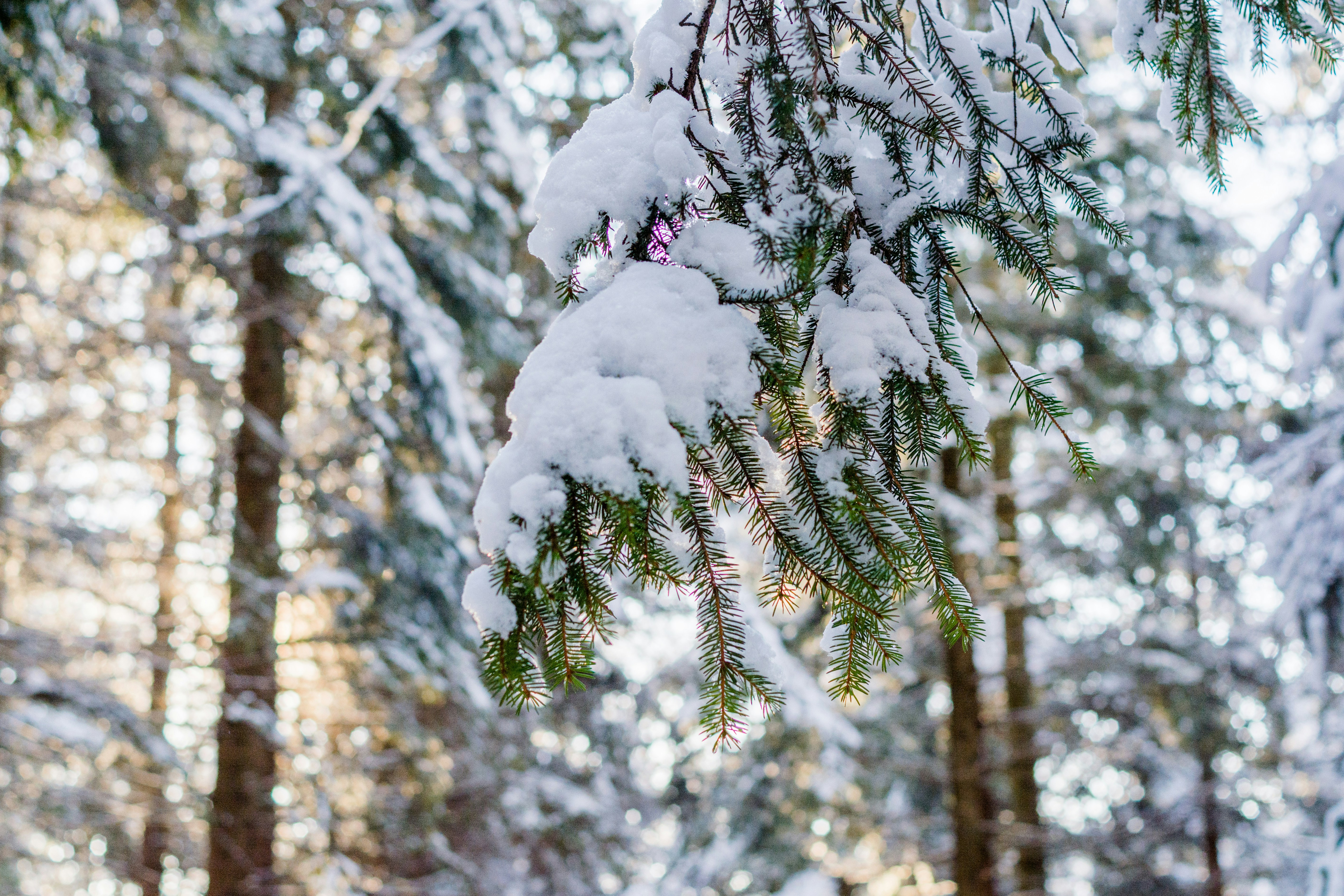 Photo by eugenivy_now