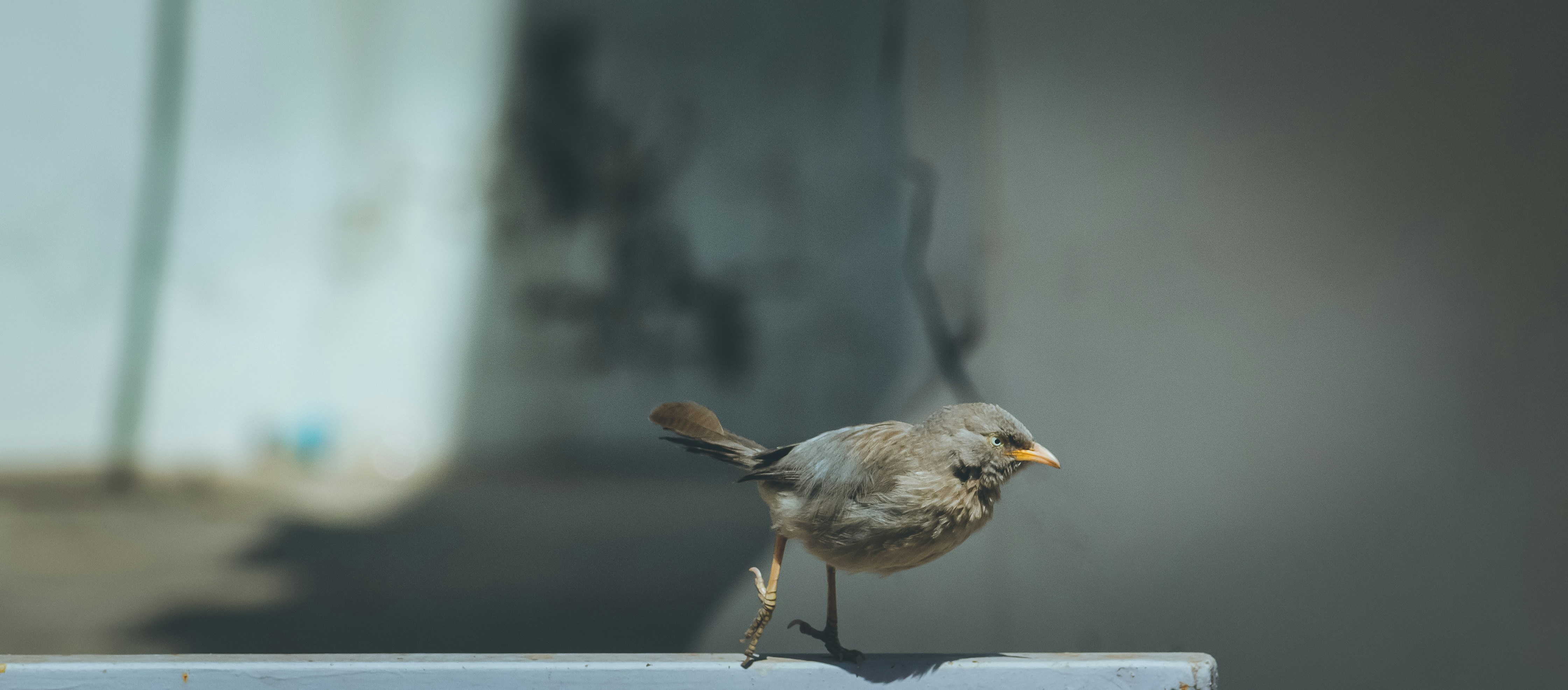 Photo by wildandbeyondbyvivek