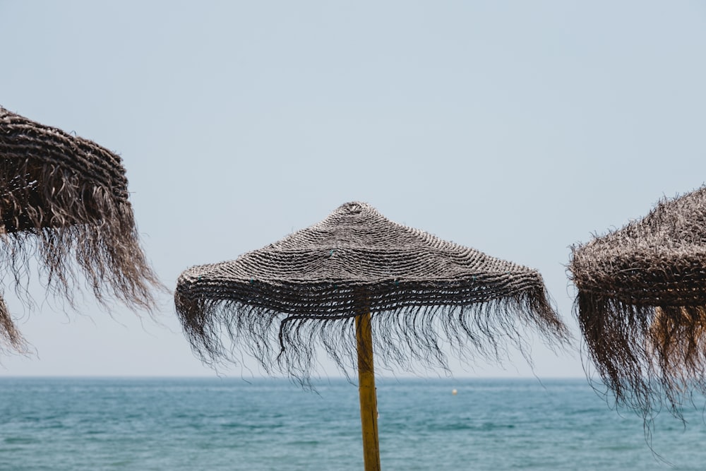 brown sea umbrellas