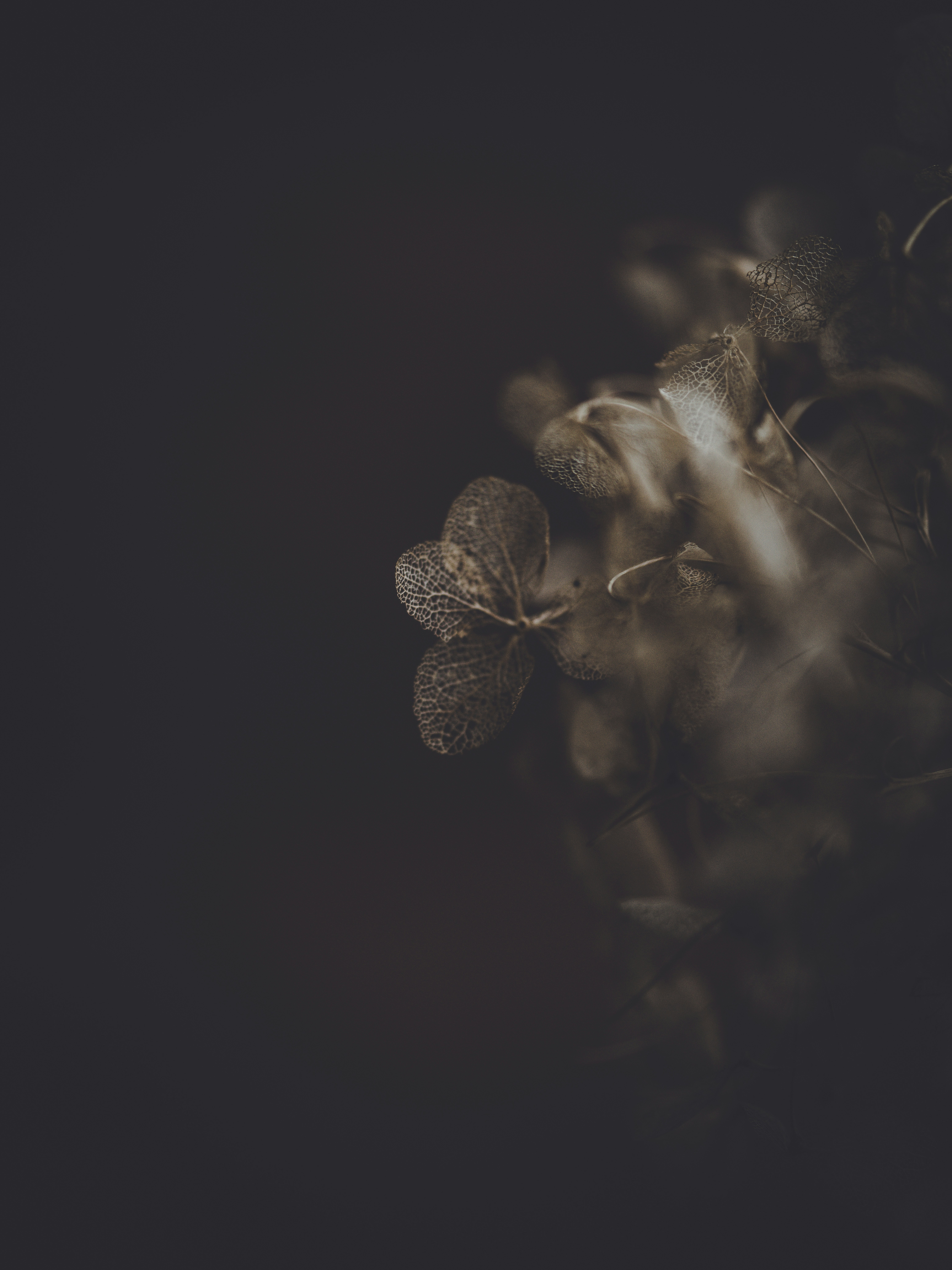 Photo by anniespratt