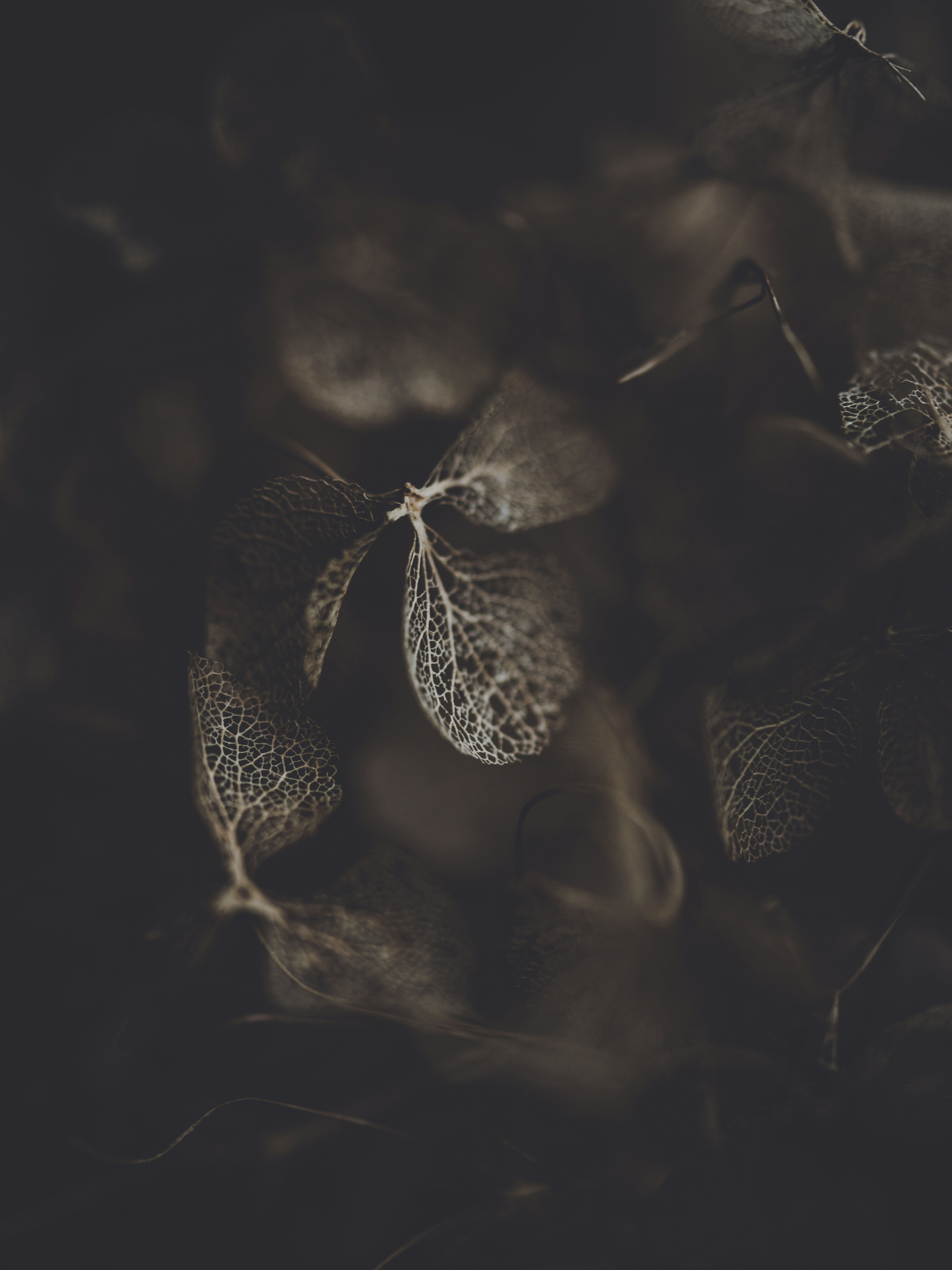 Photo by anniespratt