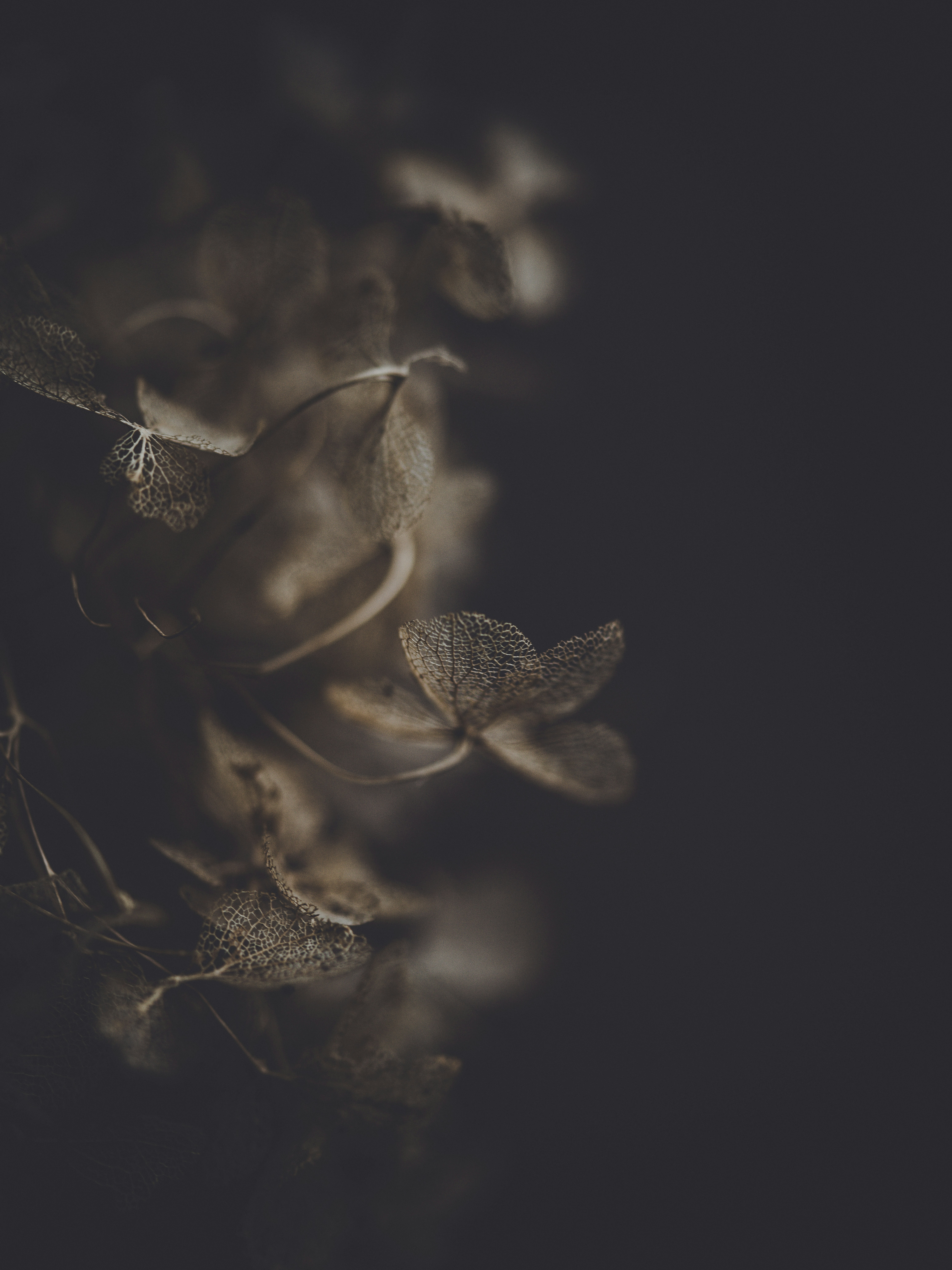 Photo by anniespratt