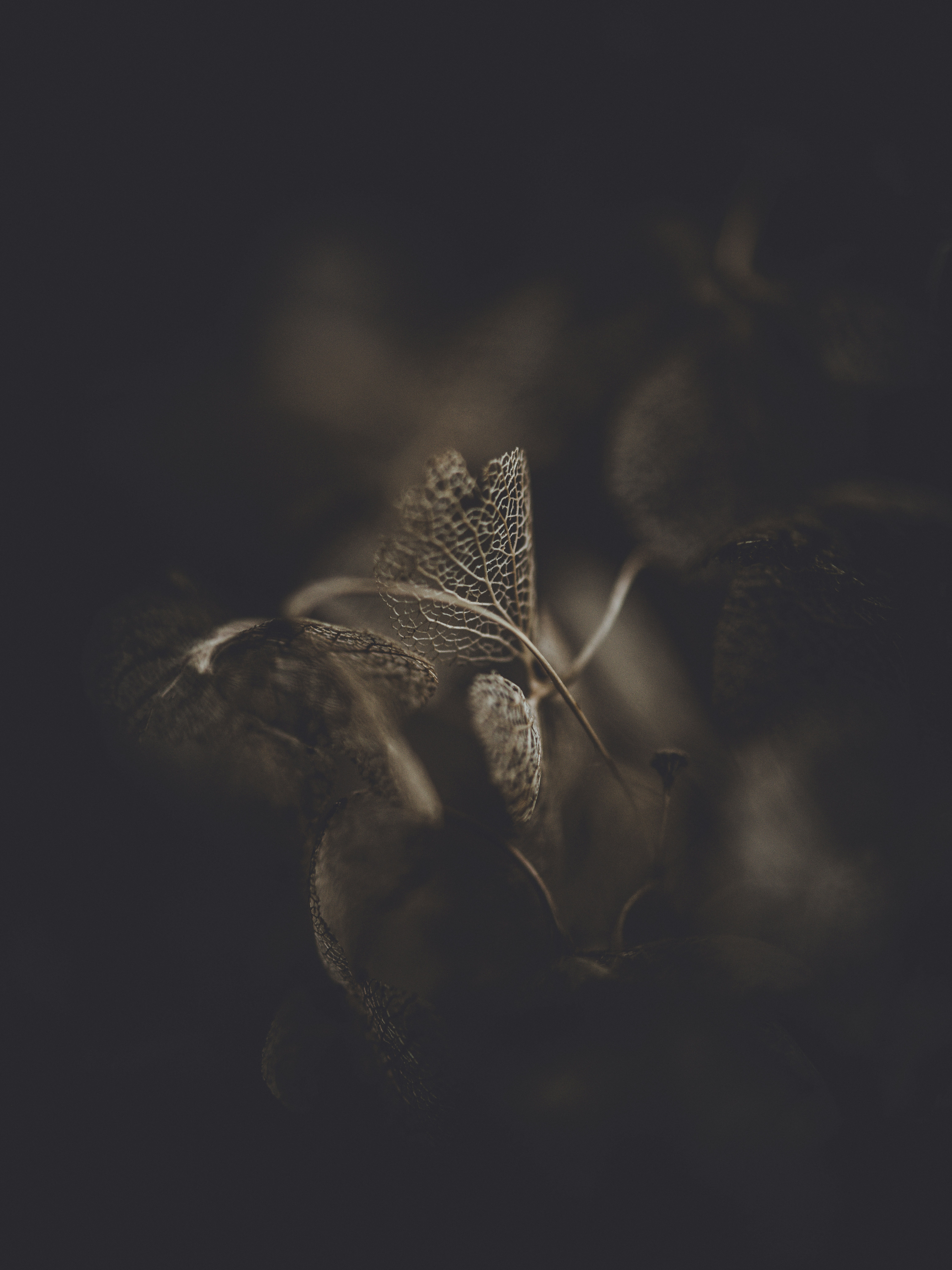 Photo by anniespratt