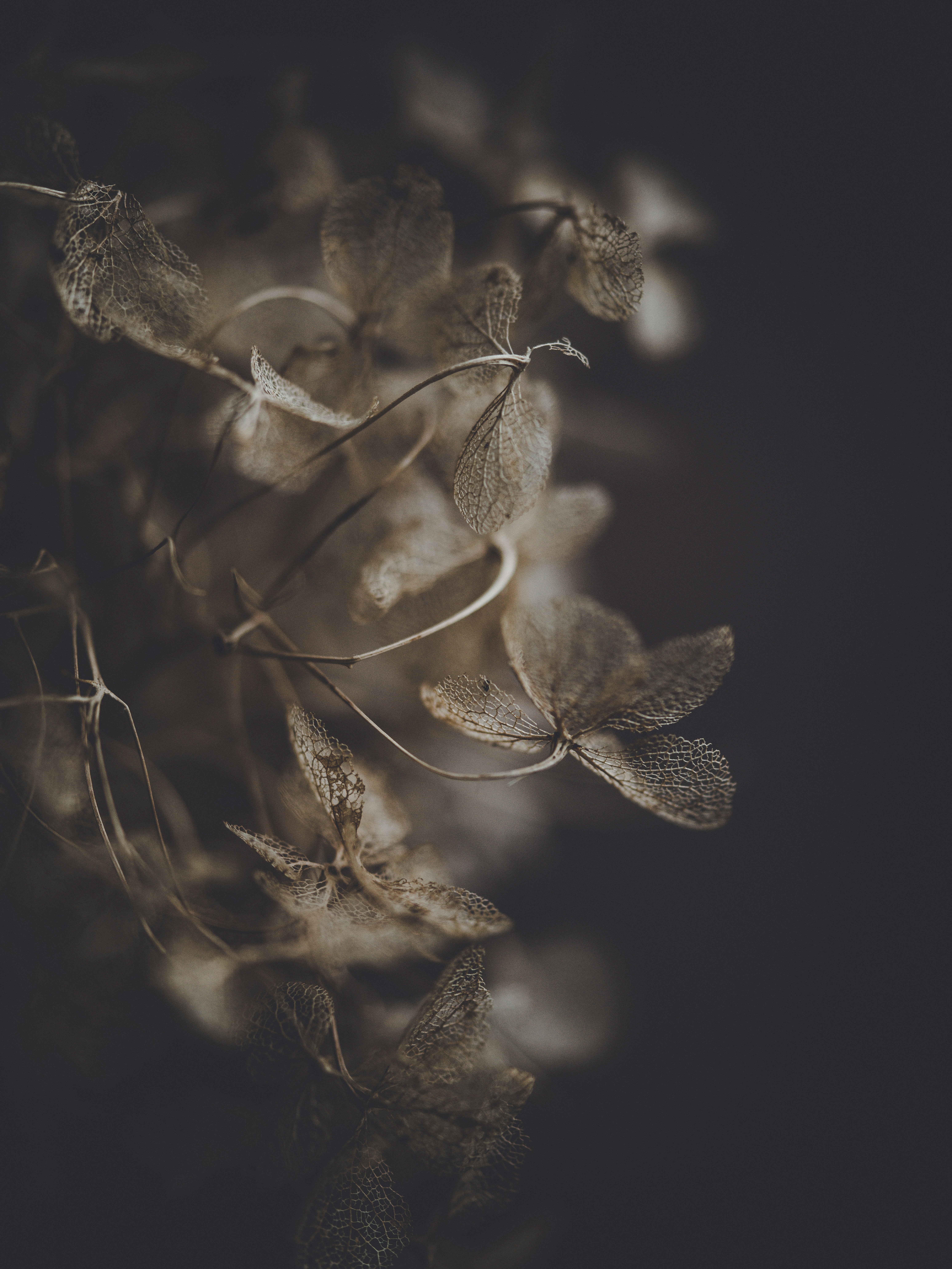 Photo by anniespratt