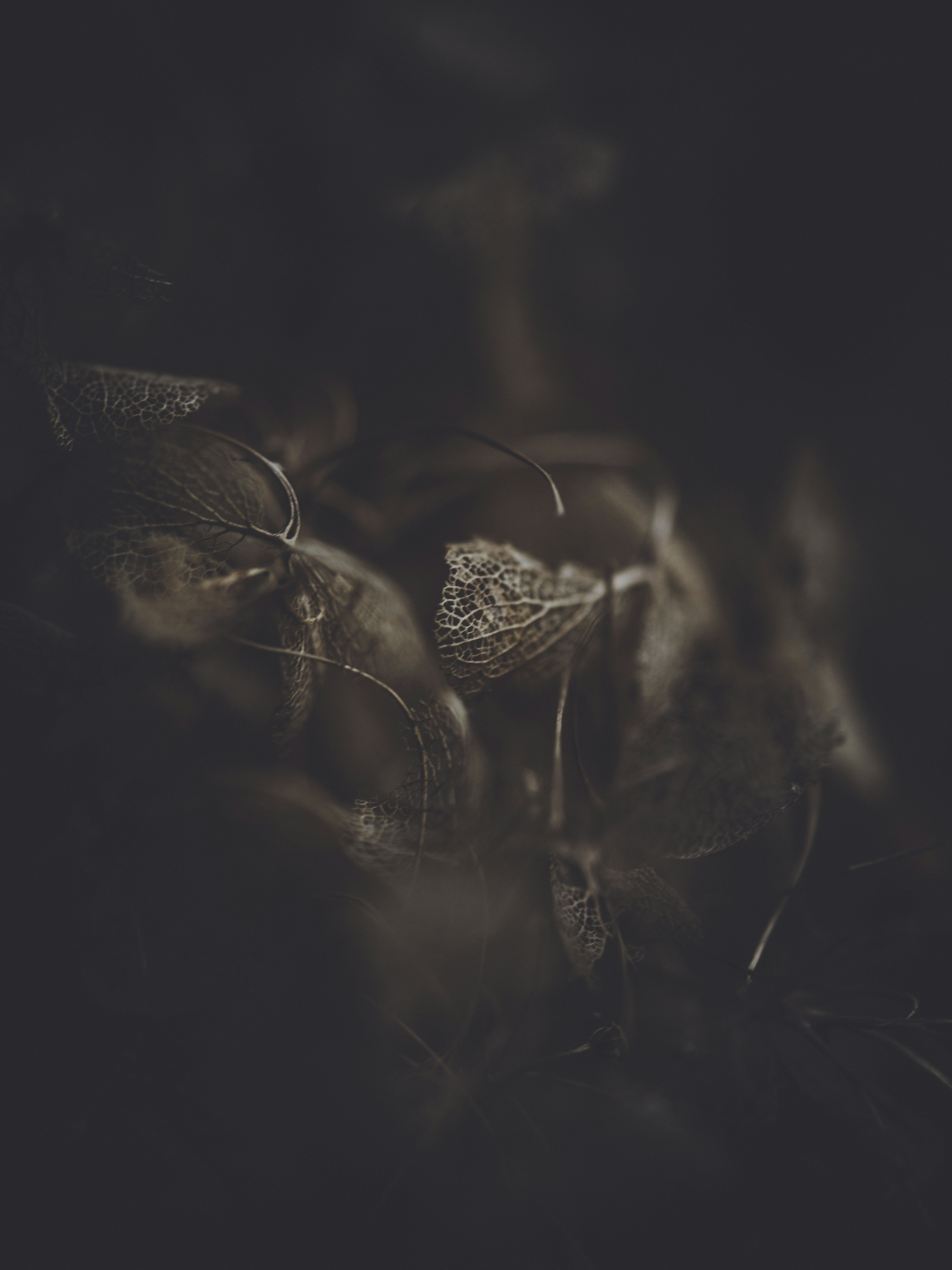 Photo by anniespratt