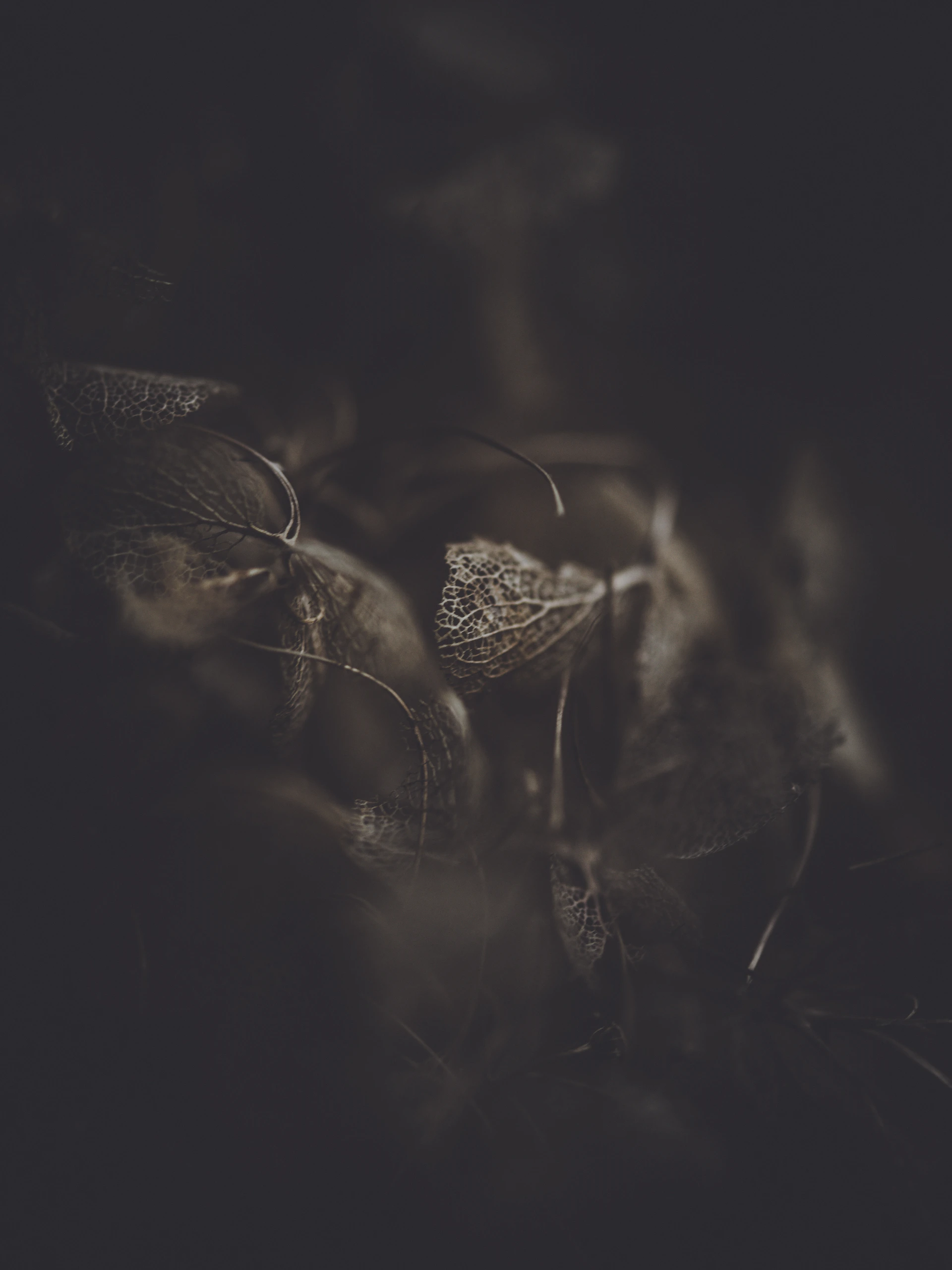 A delicate sculpture photographed against a soft, natural background highlighting its intricate details.
