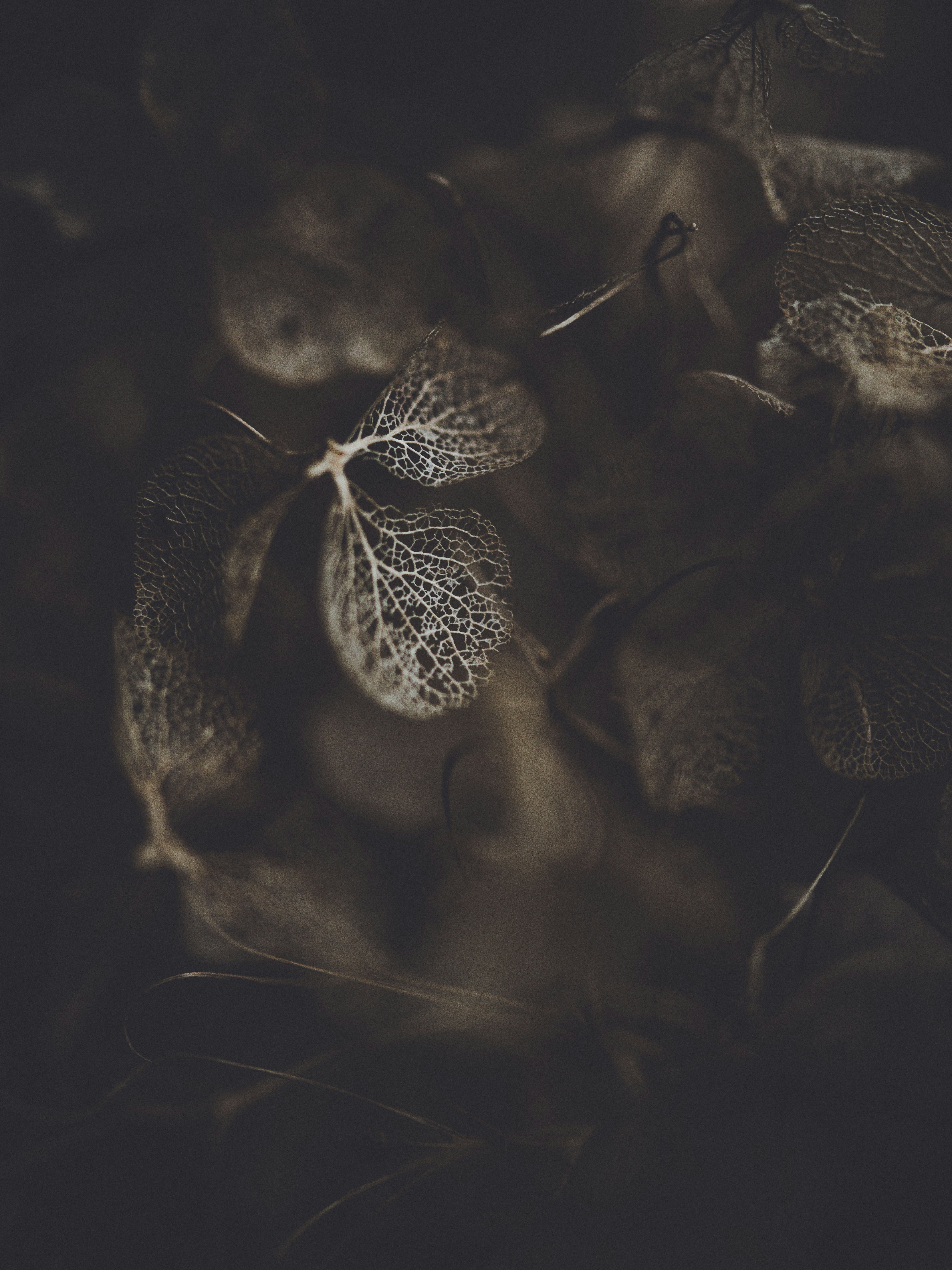 Photo by anniespratt