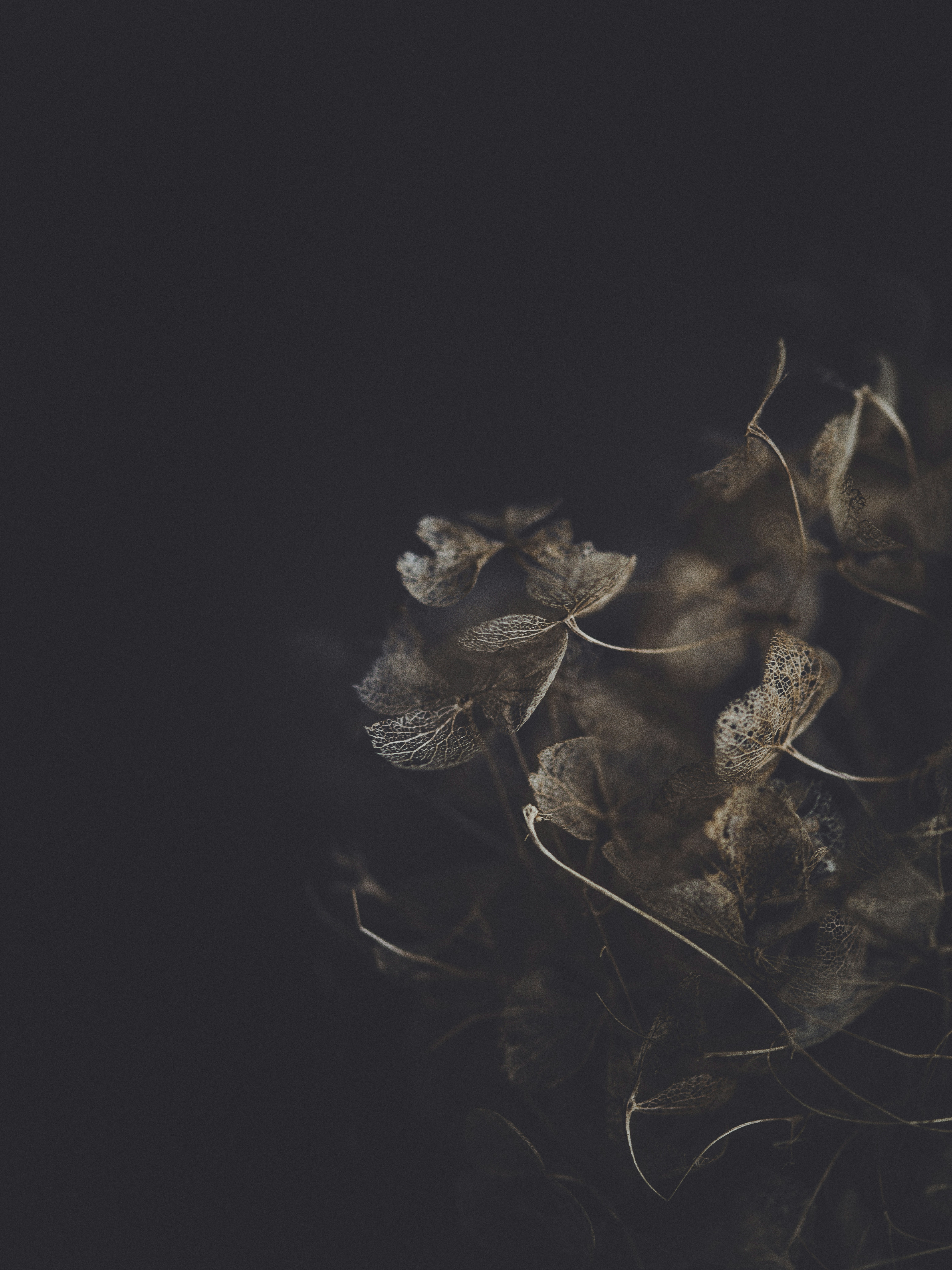 Photo by anniespratt